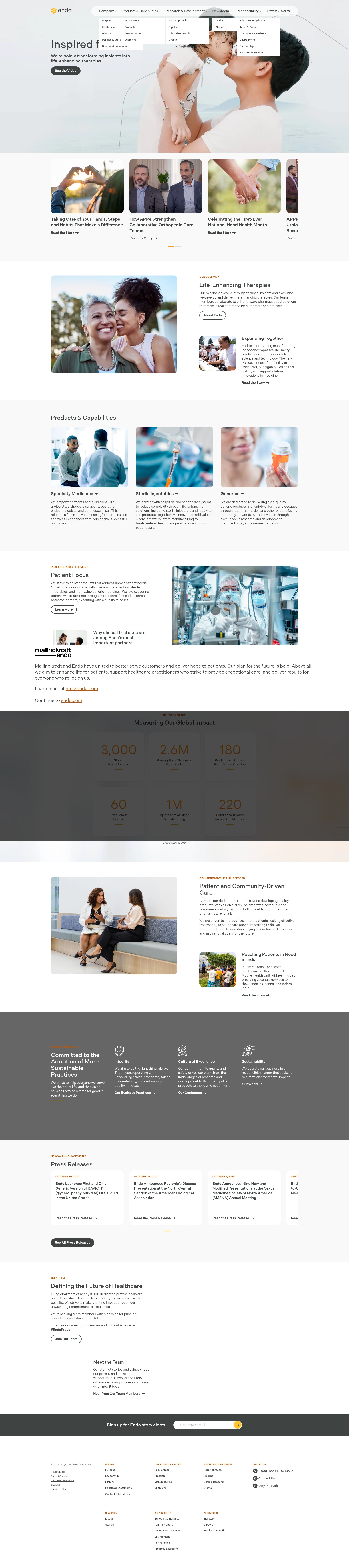 Screenshot of endo.com