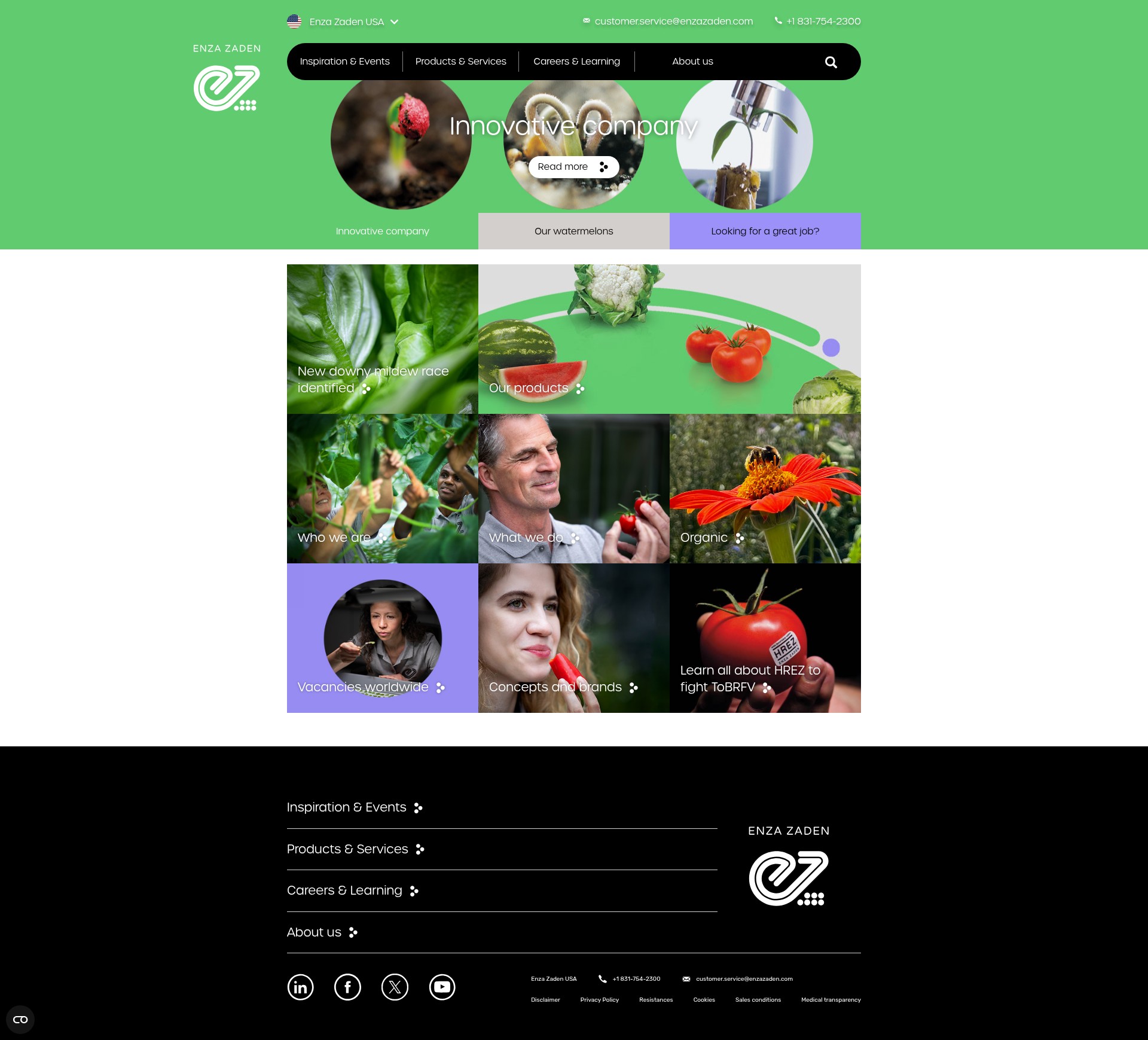 Screenshot of enzazaden.com