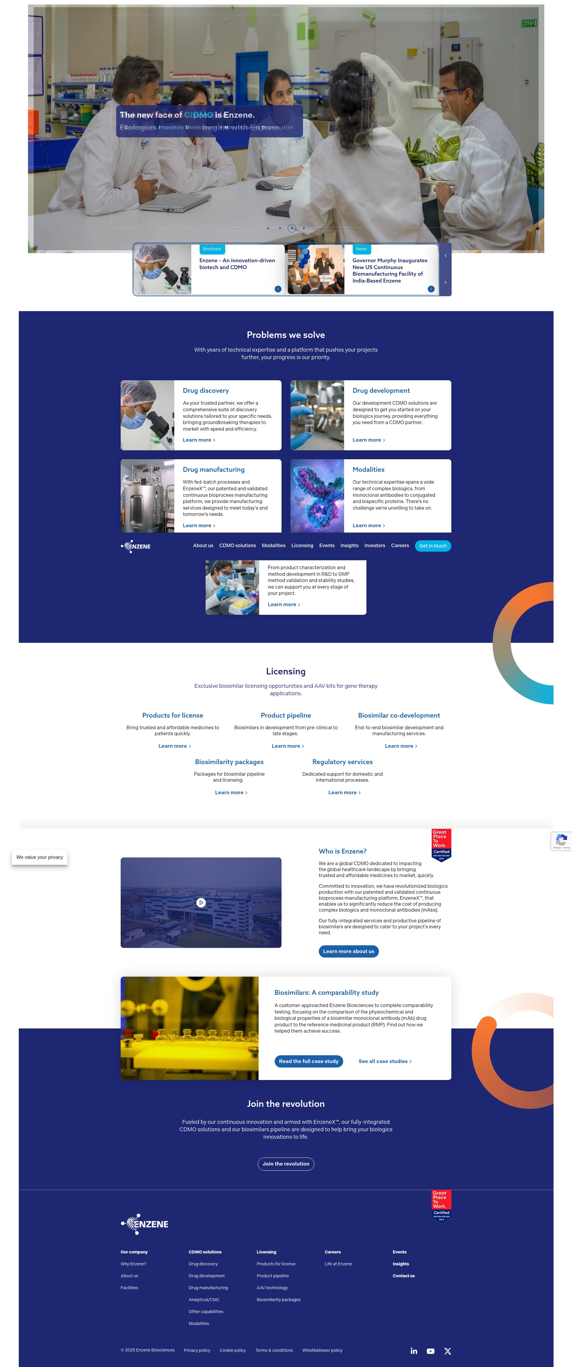 Screenshot of enzene.com
