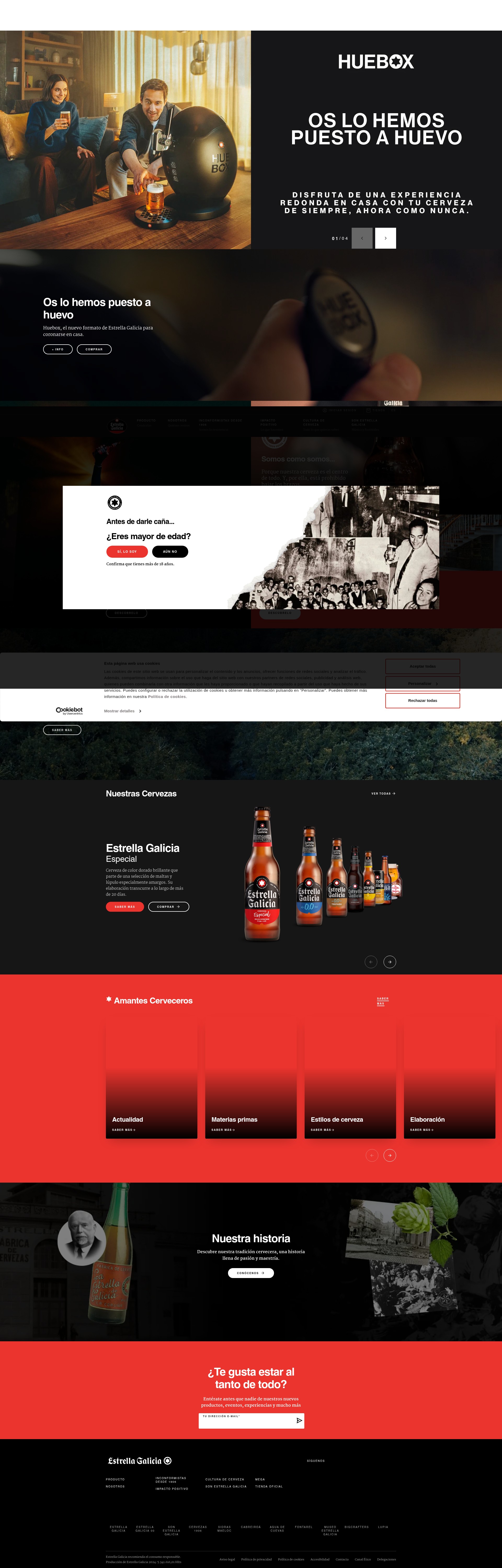 Screenshot of estrellagalicia.es