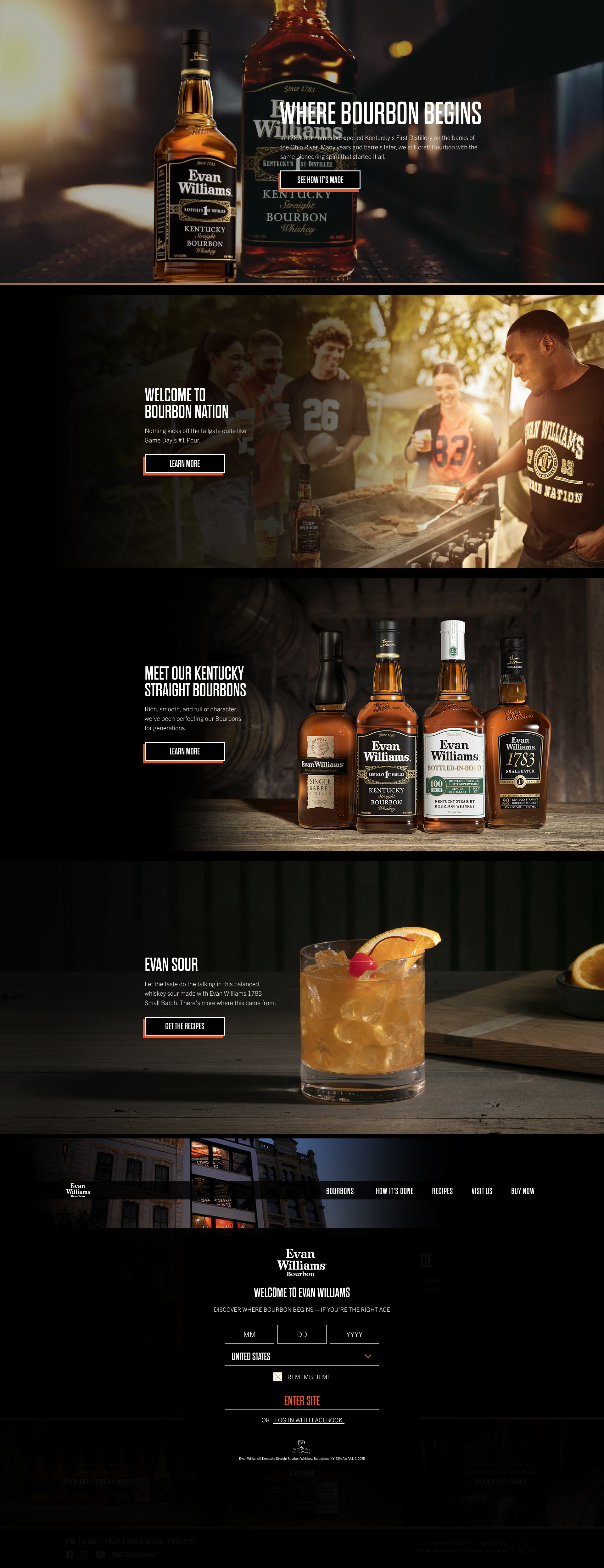 Screenshot of evanwilliams.com