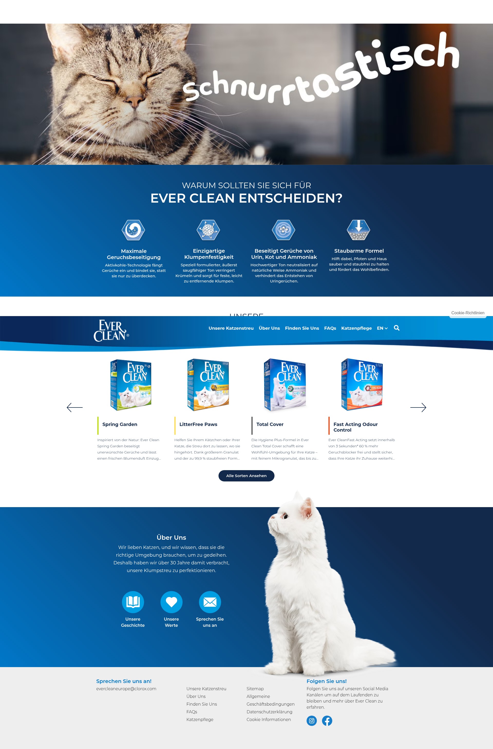 Screenshot of ever-clean.de