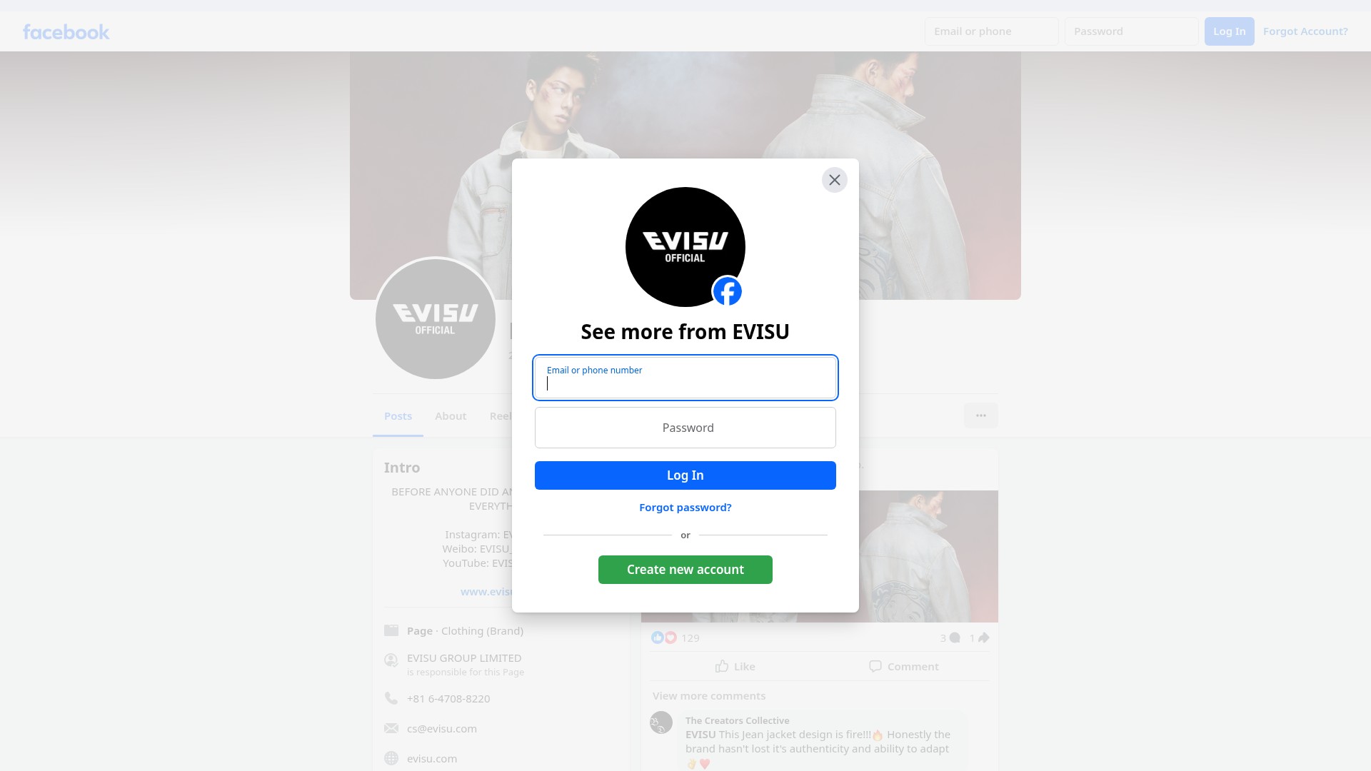 Screenshot of evisu.com