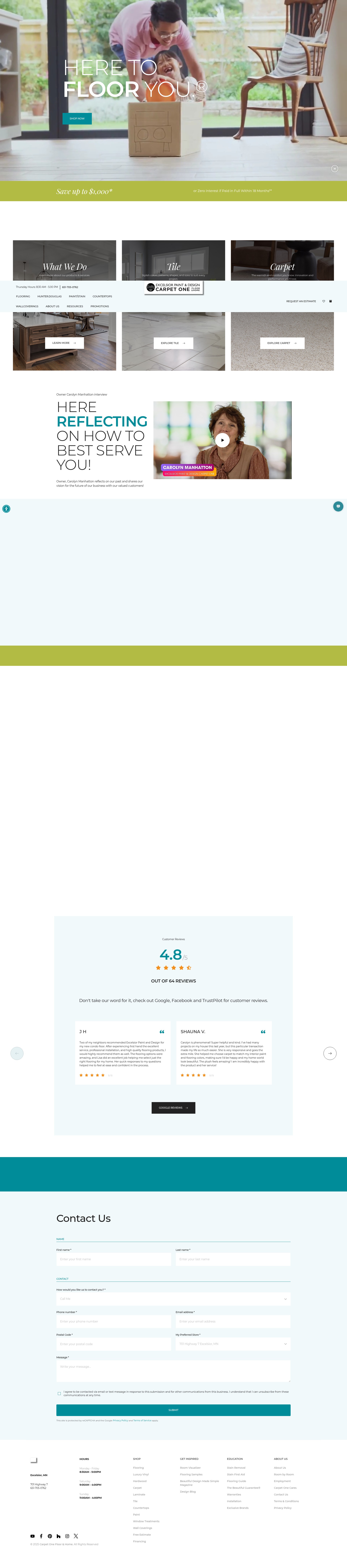 Screenshot of excelsiorpaintanddesigncarpetone.com
