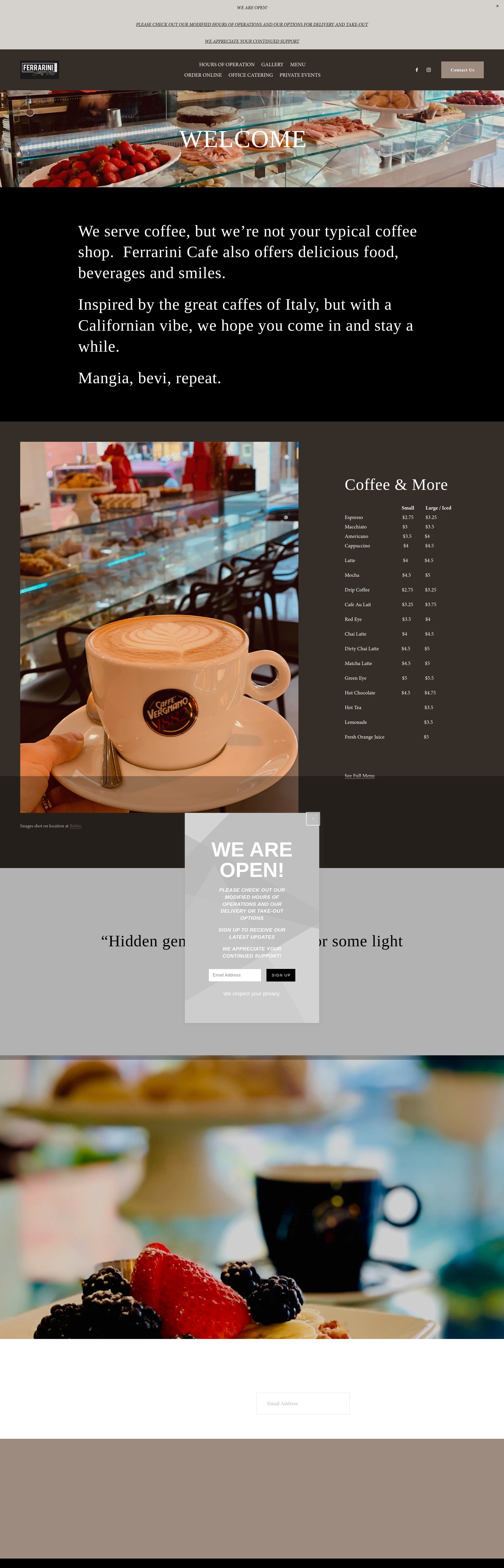 Screenshot of ferrarinicafebh.com
