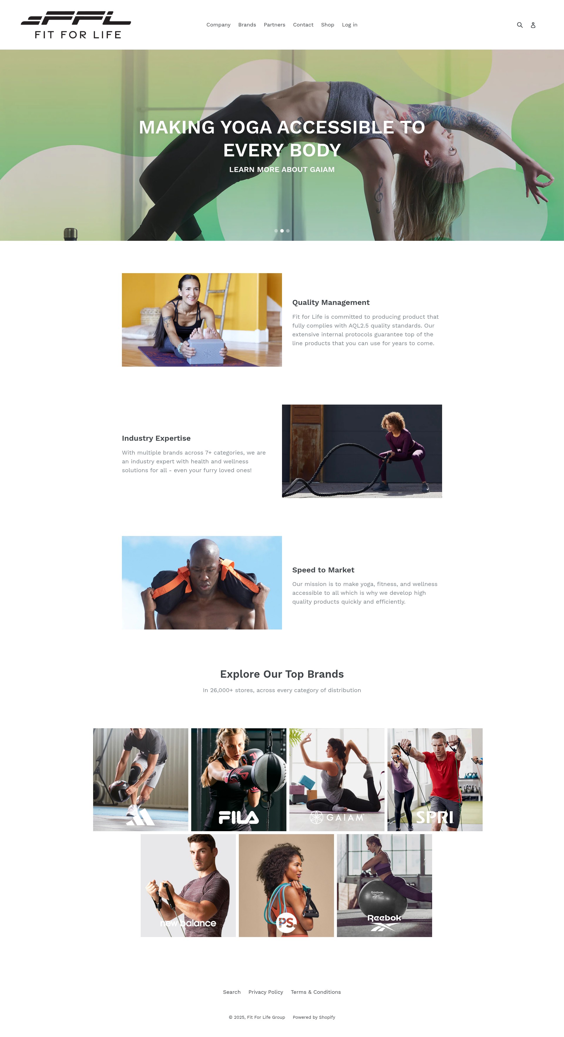 Screenshot of ffl-group.com