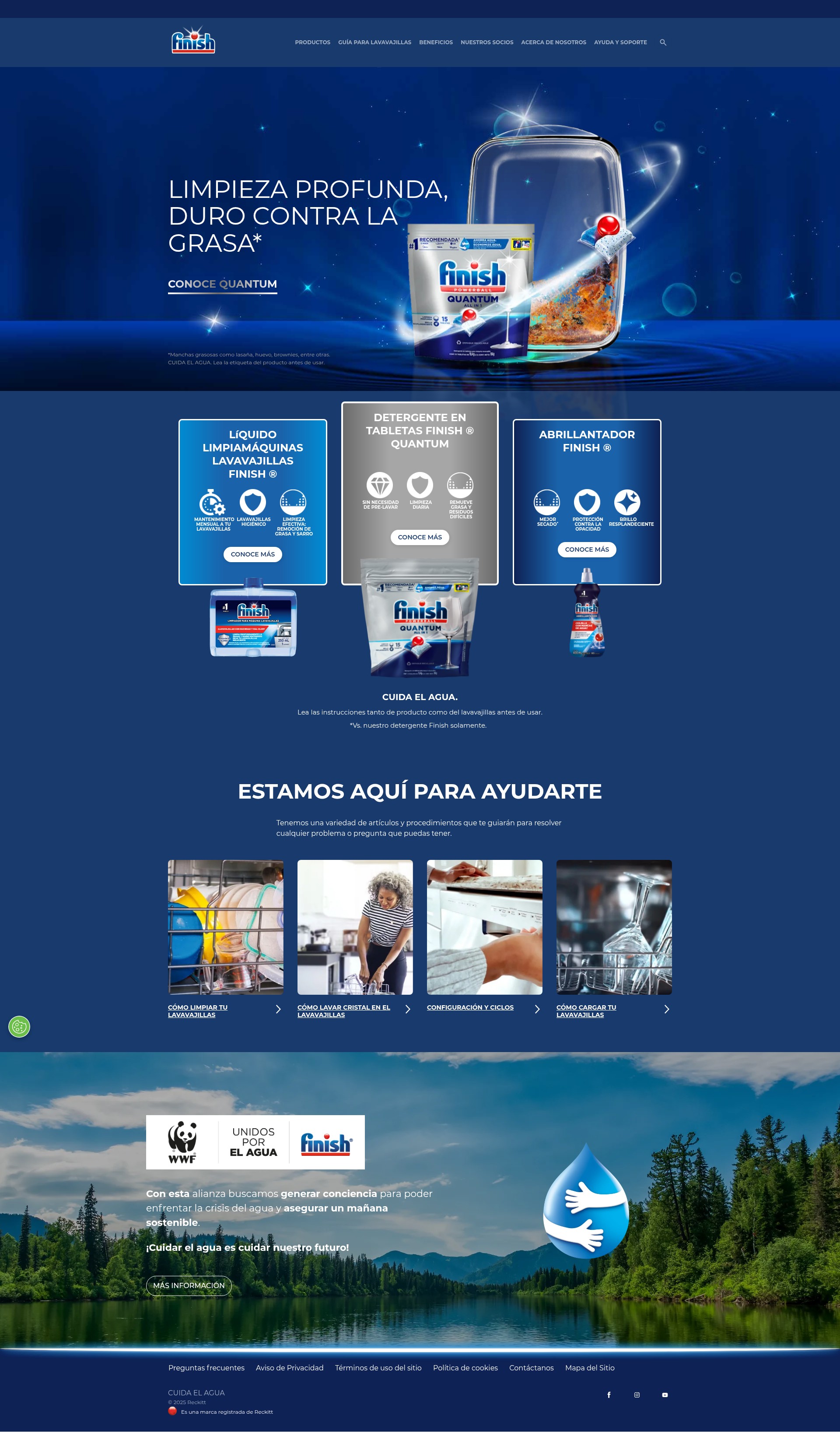 Screenshot of finish.com.mx