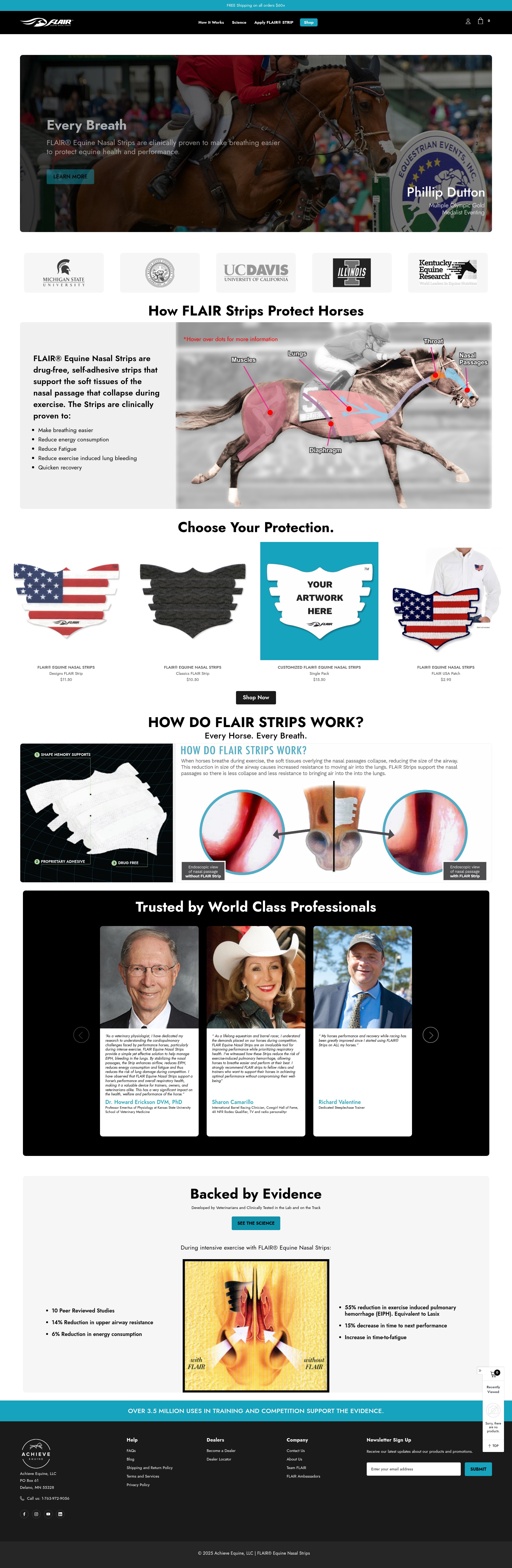Screenshot of flairstrips.com