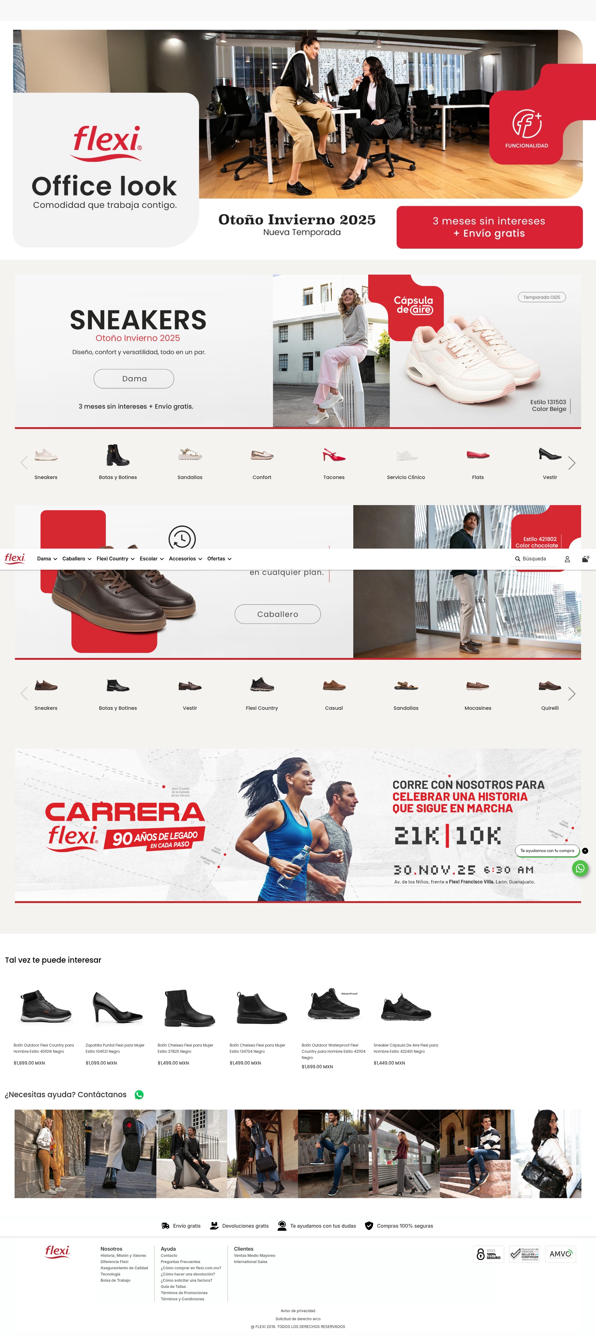 Screenshot of flexi.com.mx
