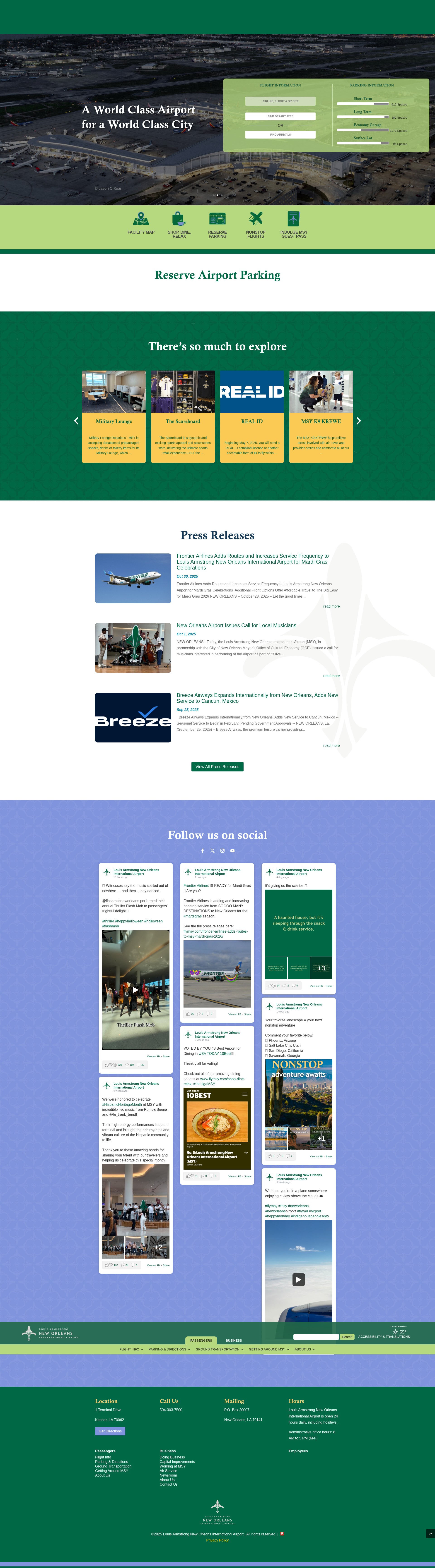 Screenshot of flymsy.com
