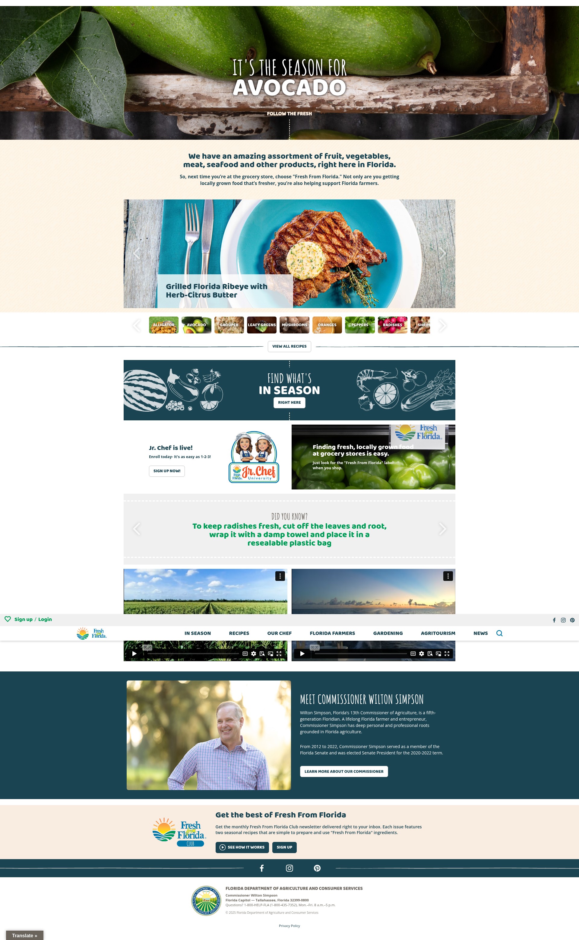 Screenshot of followfreshfromflorida.com