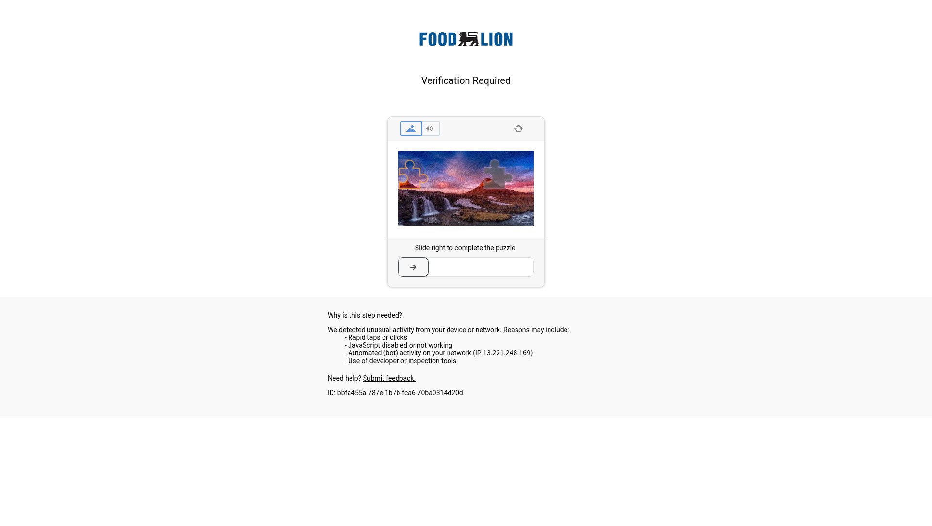 Screenshot of foodlion.com