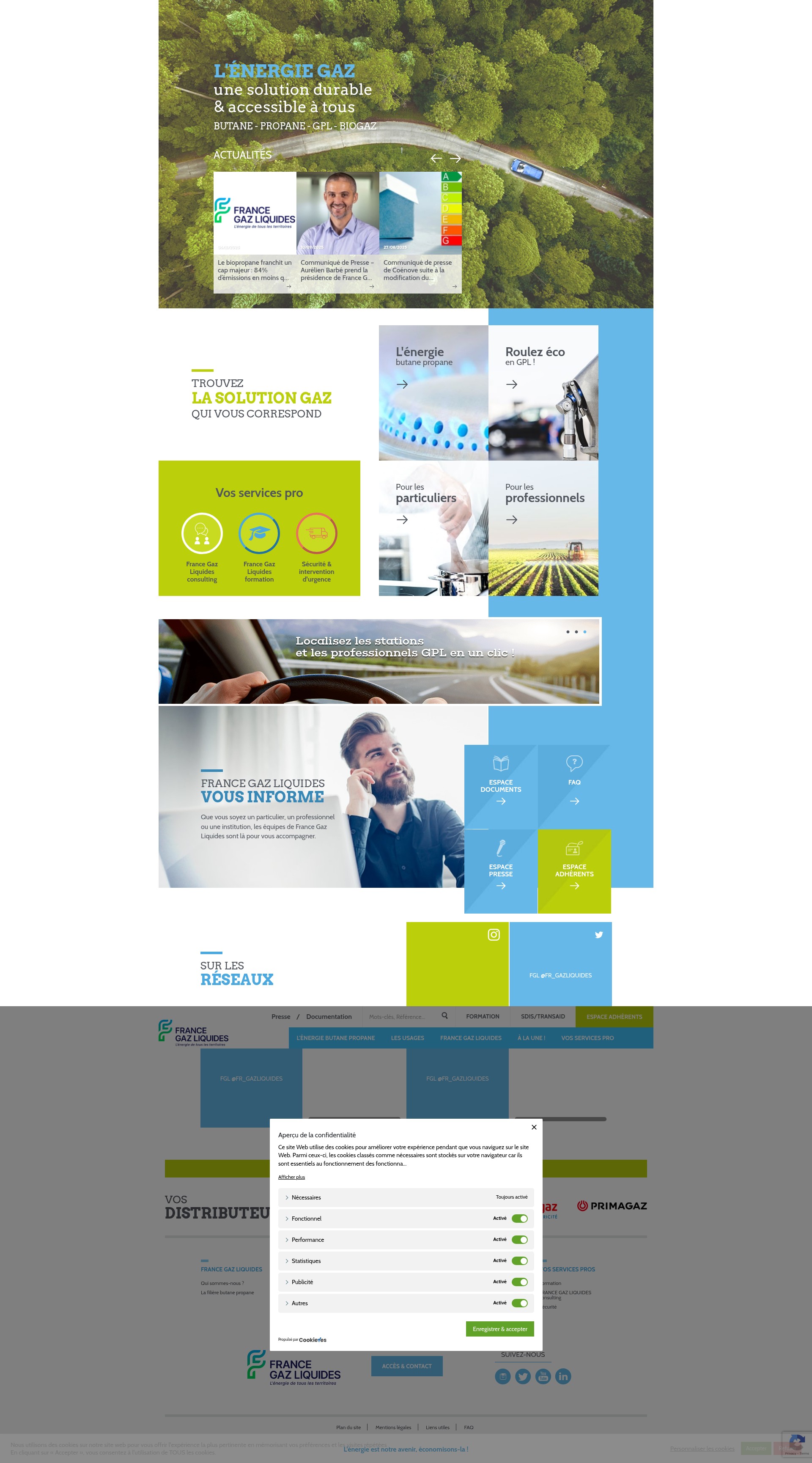 Screenshot of francegazliquides.fr