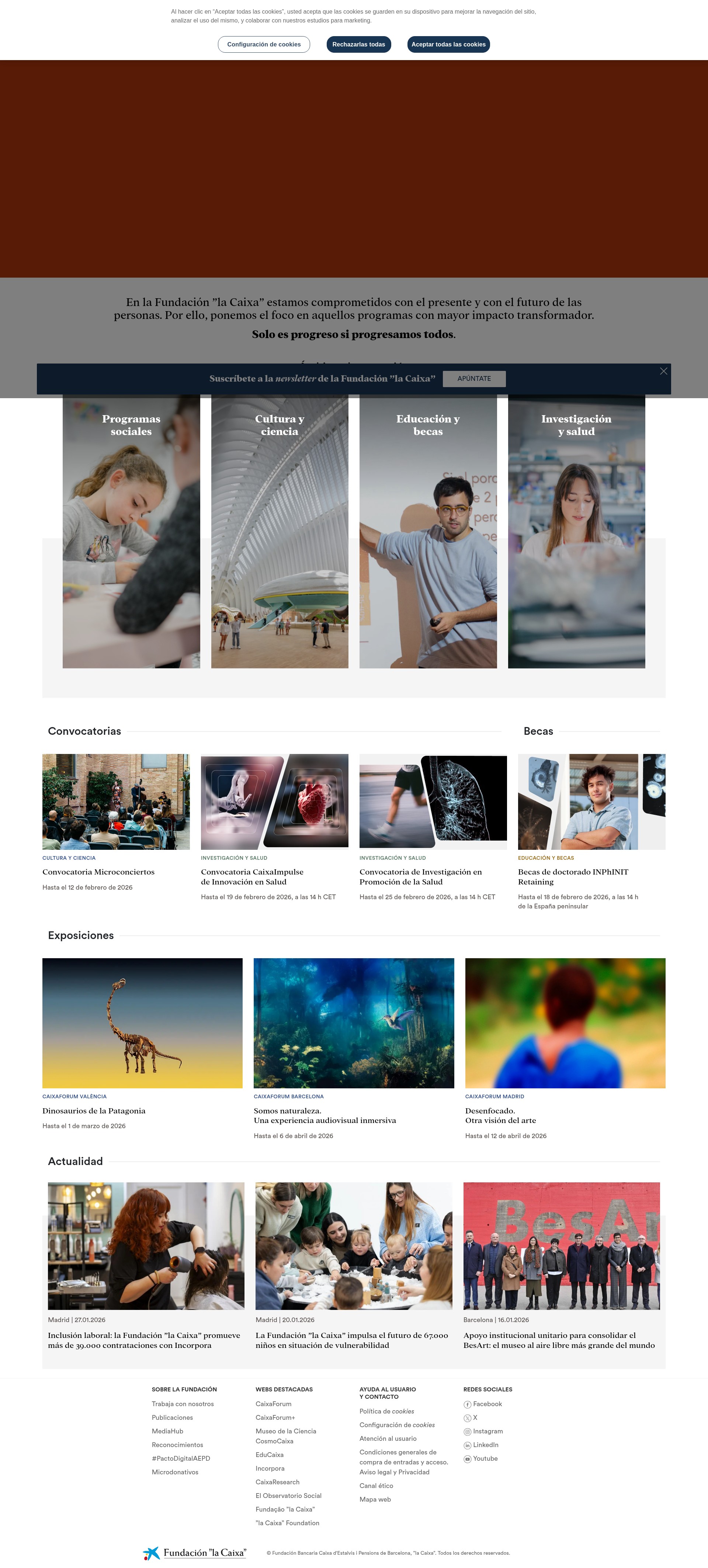 Screenshot of fundacionlacaixa.org