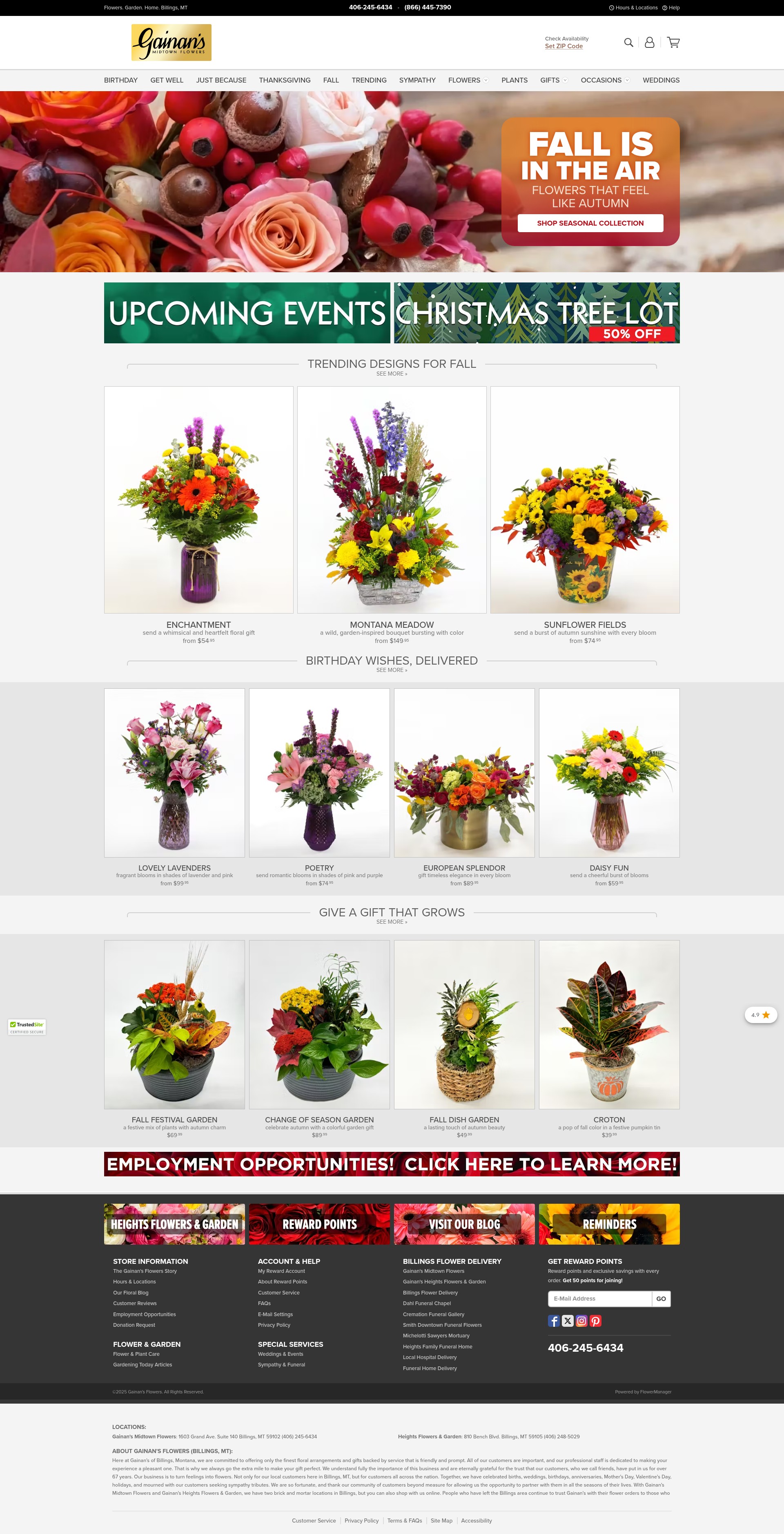 Screenshot of gainans.com