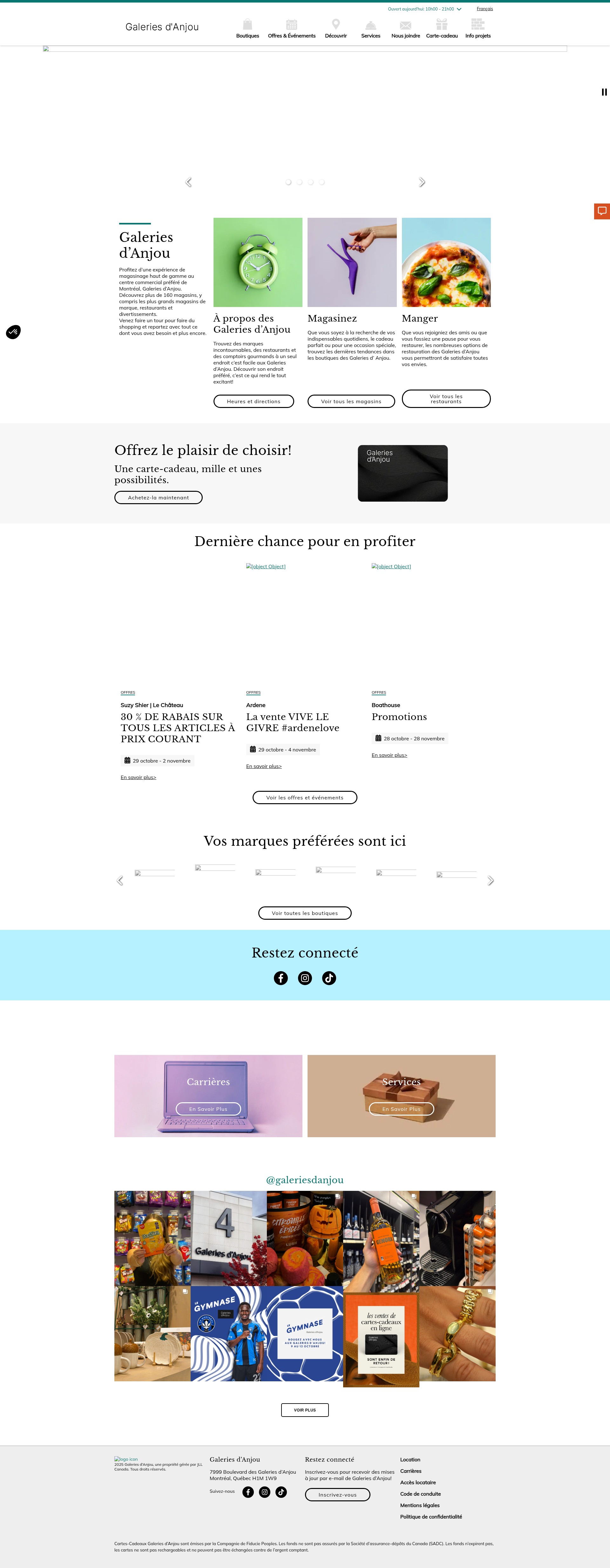 Screenshot of galeriesdanjou.com