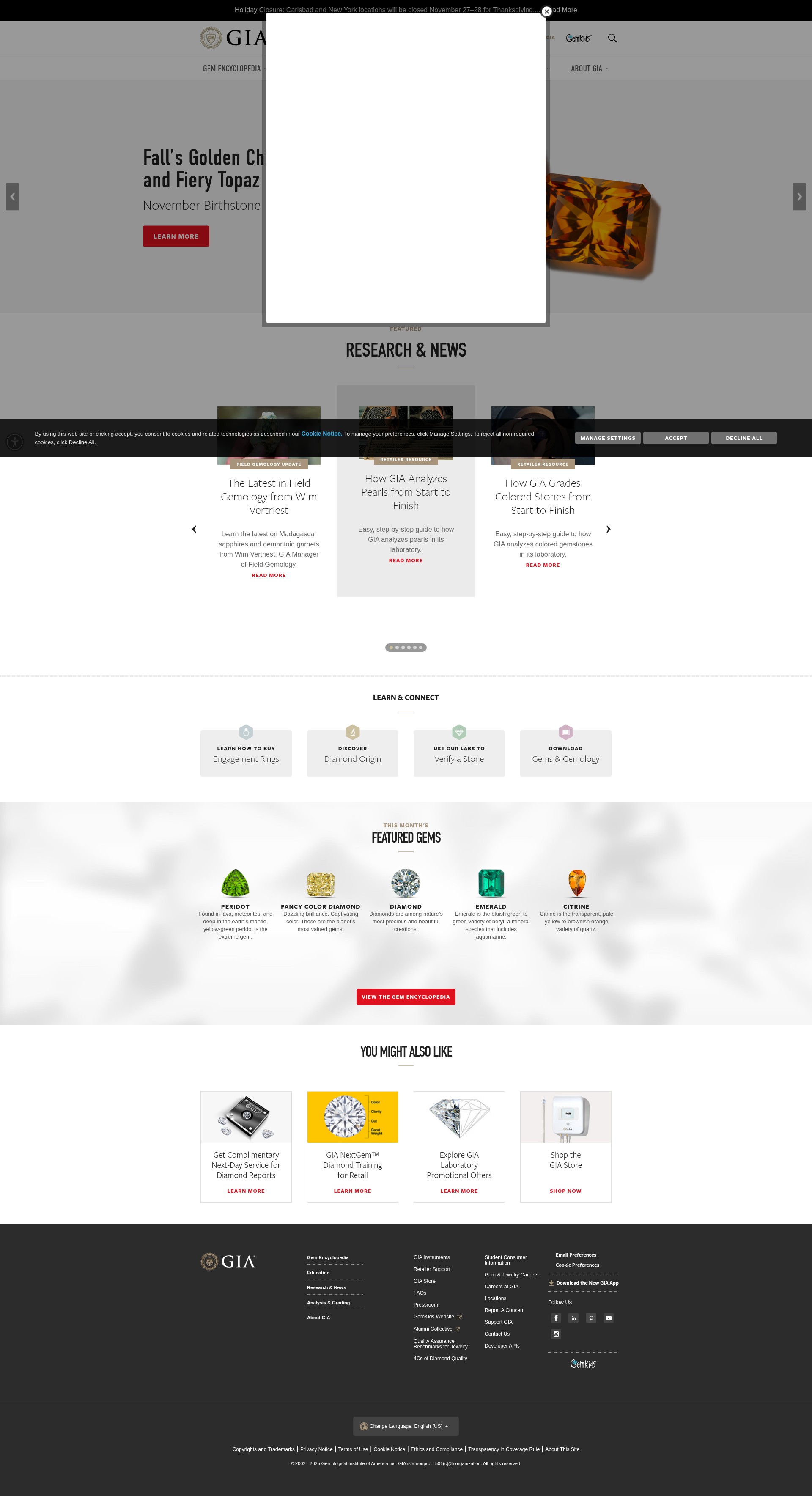 Screenshot of gia.edu