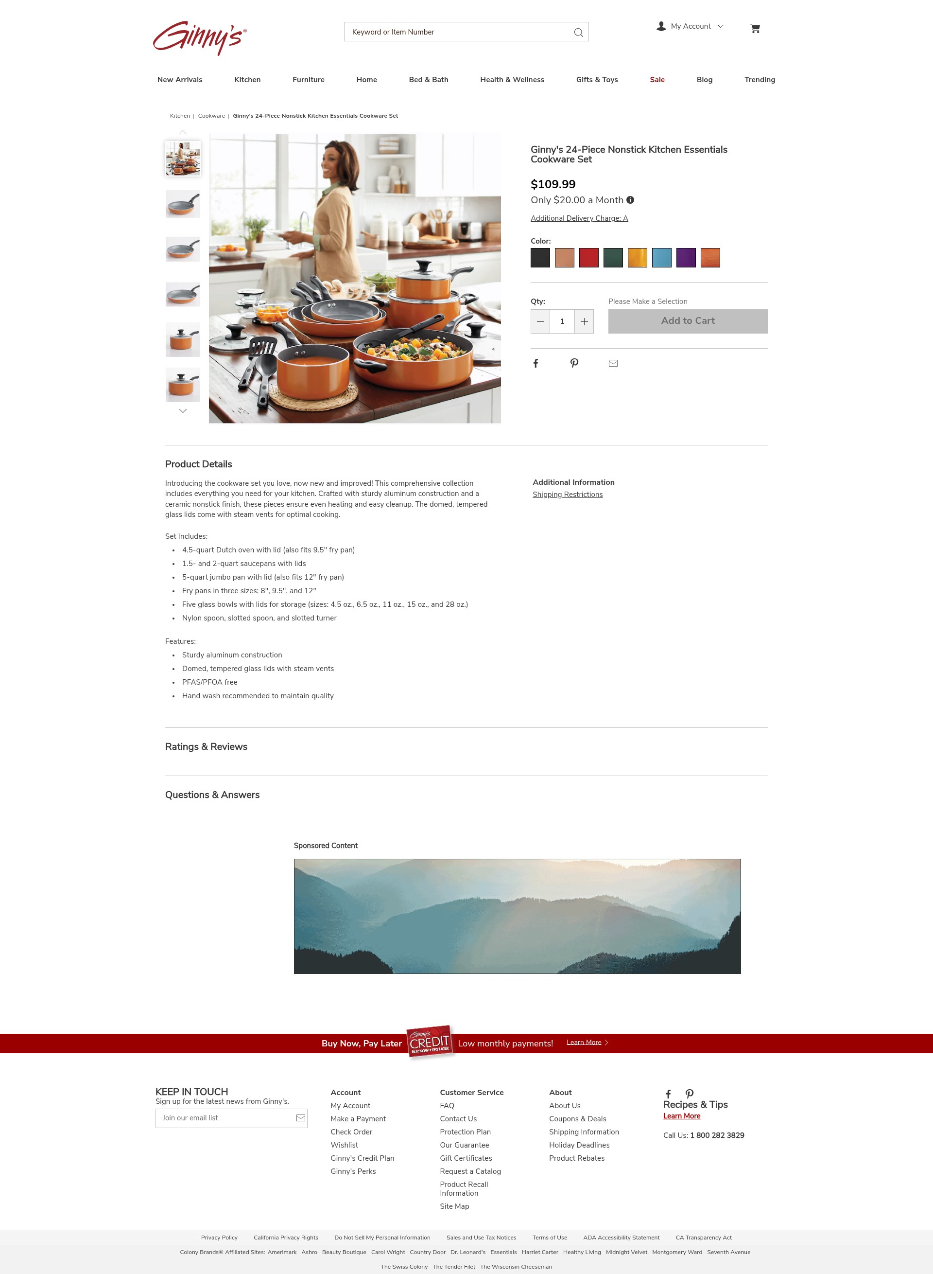 Screenshot of ginnys.com