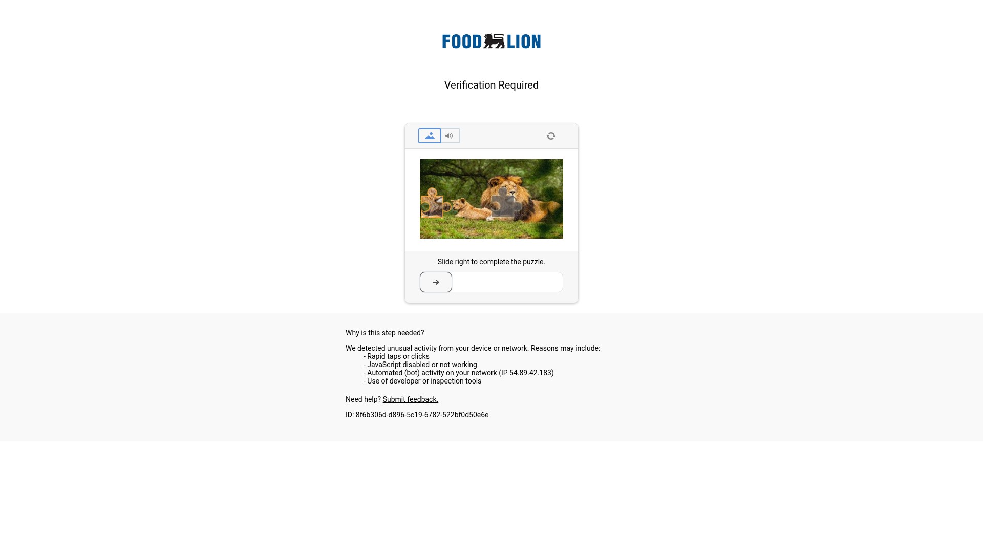 Screenshot of go.foodlion.com