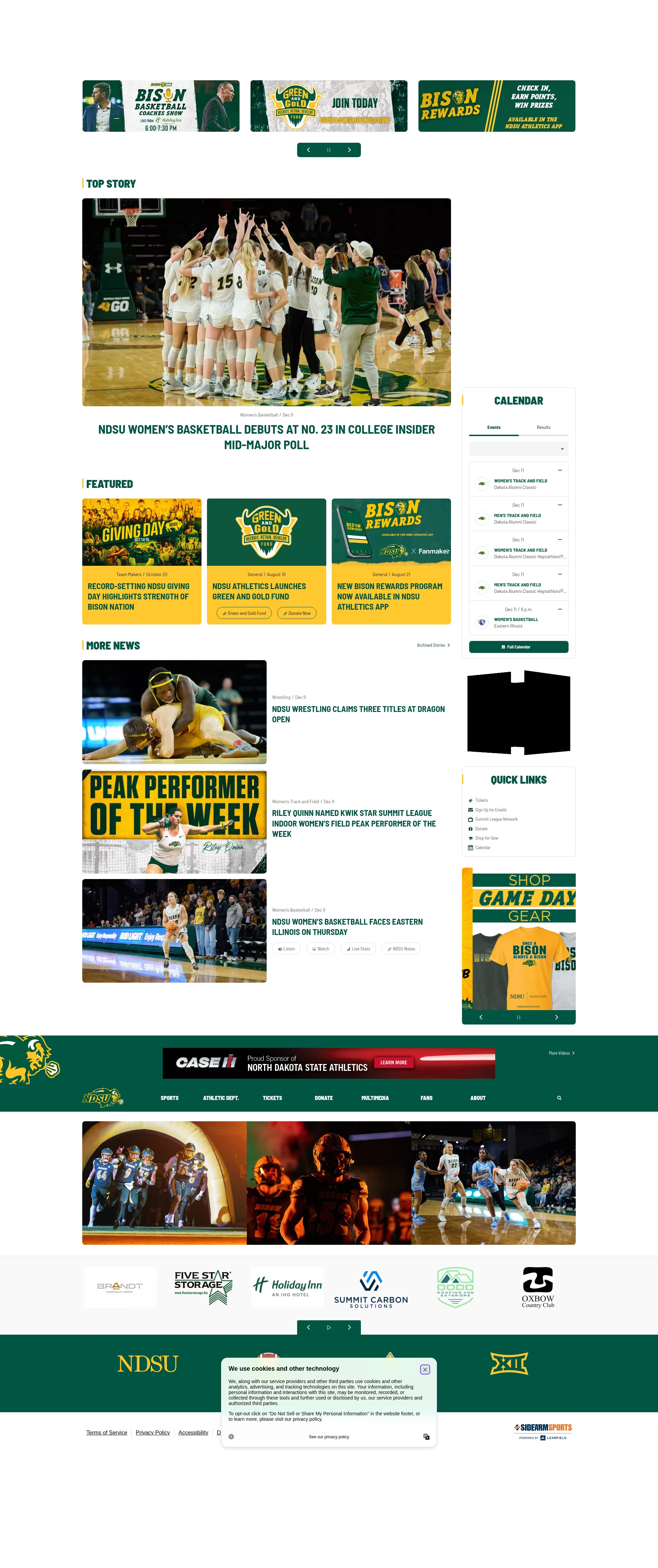 Screenshot of gobison.com