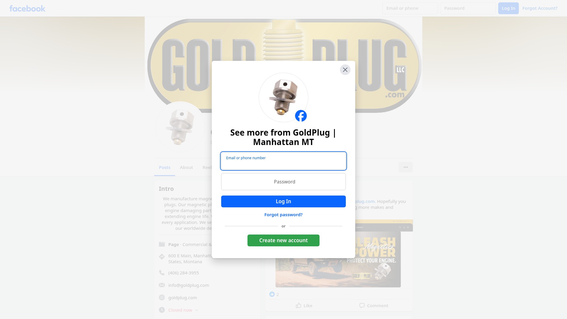 Screenshot of goldplug.com