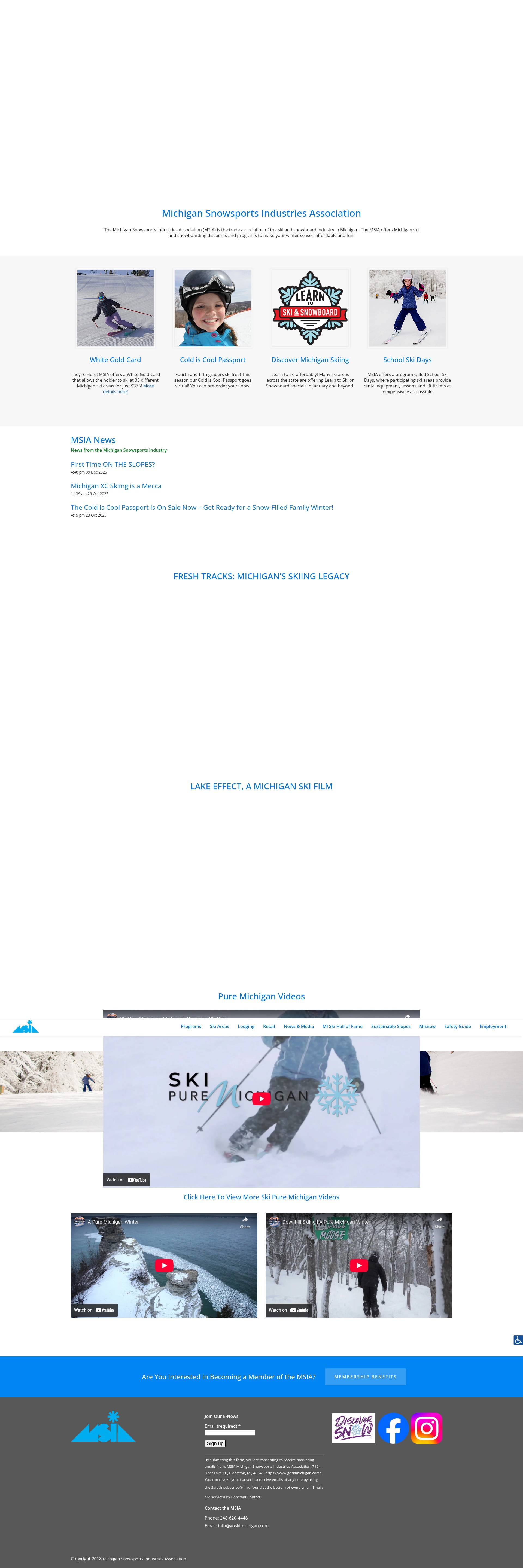 Screenshot of goskimichigan.com