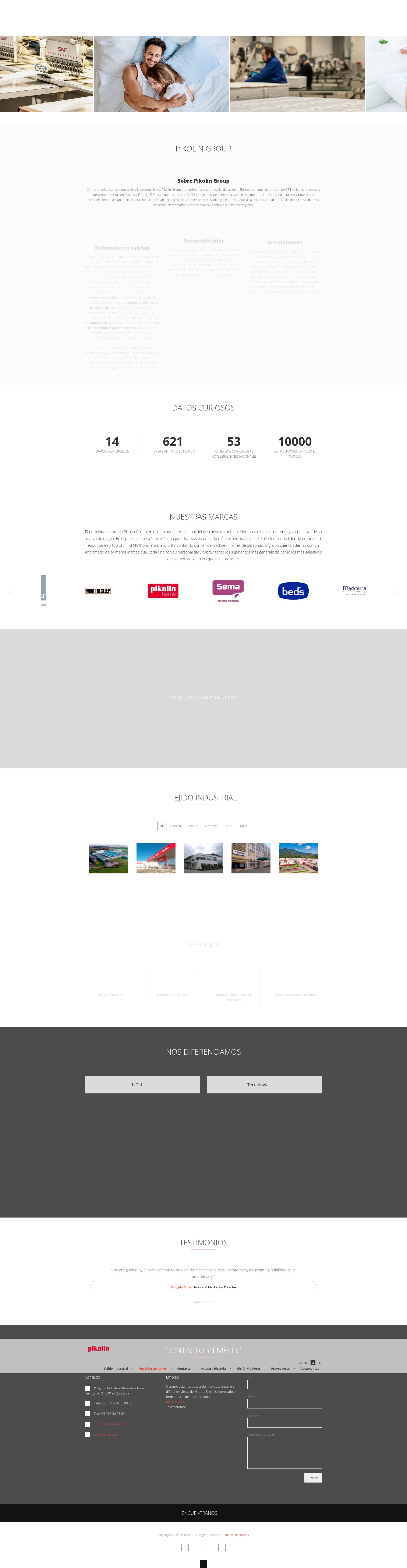 Screenshot of grupopikolin.com