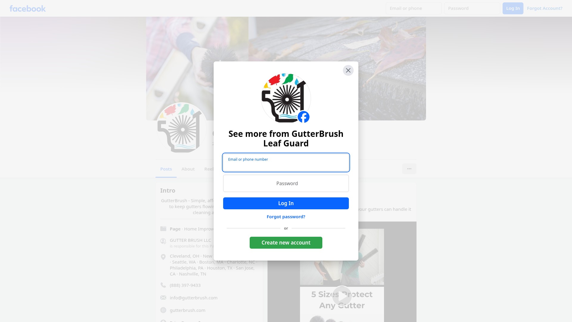 Screenshot of gutterbrush.com