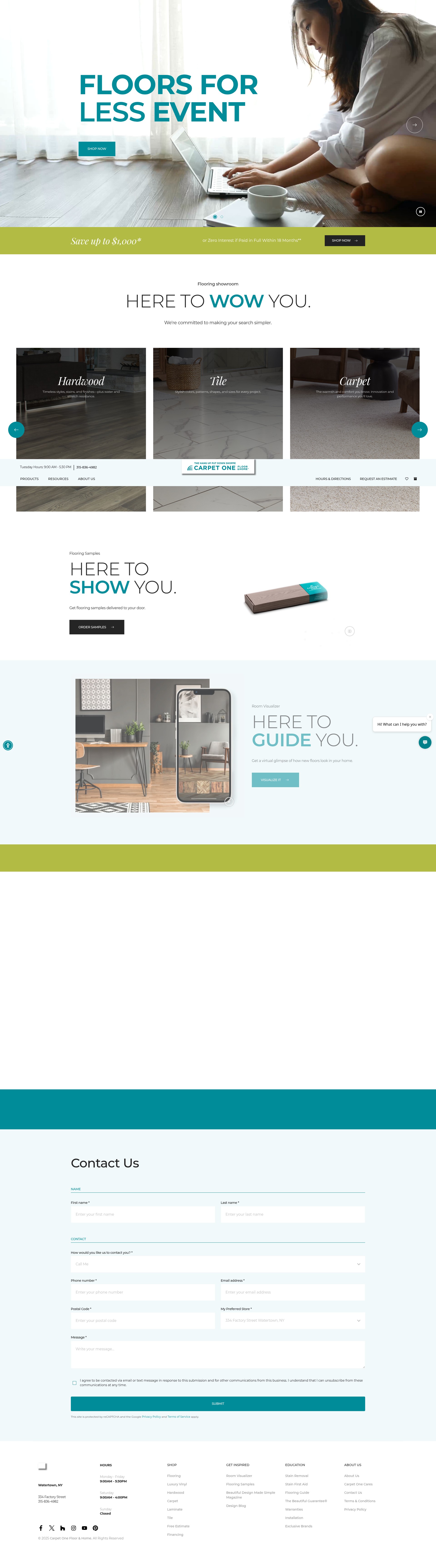 Screenshot of hangupputdowncarpetonewatertown.com