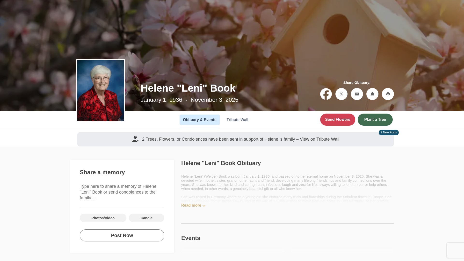Screenshot of heafeyheafey.com