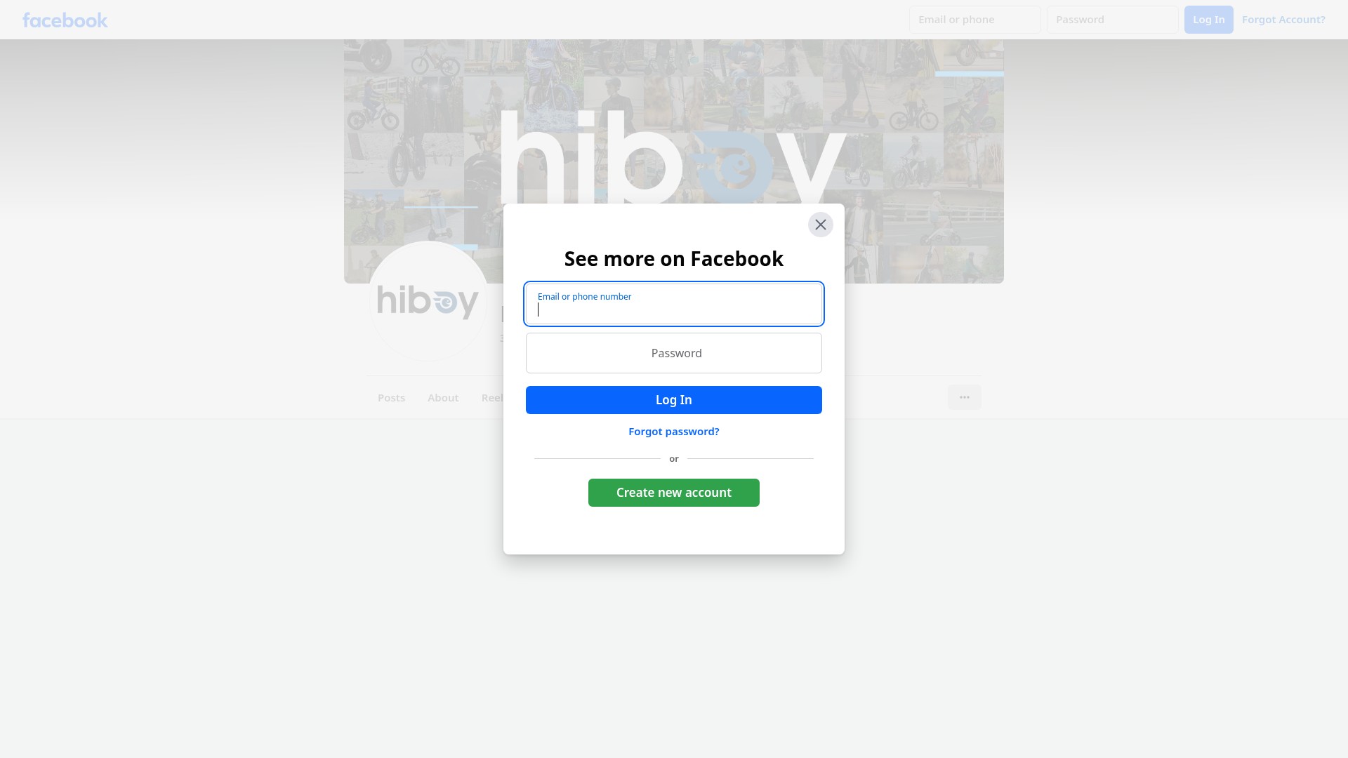 Screenshot of hiboy.com
