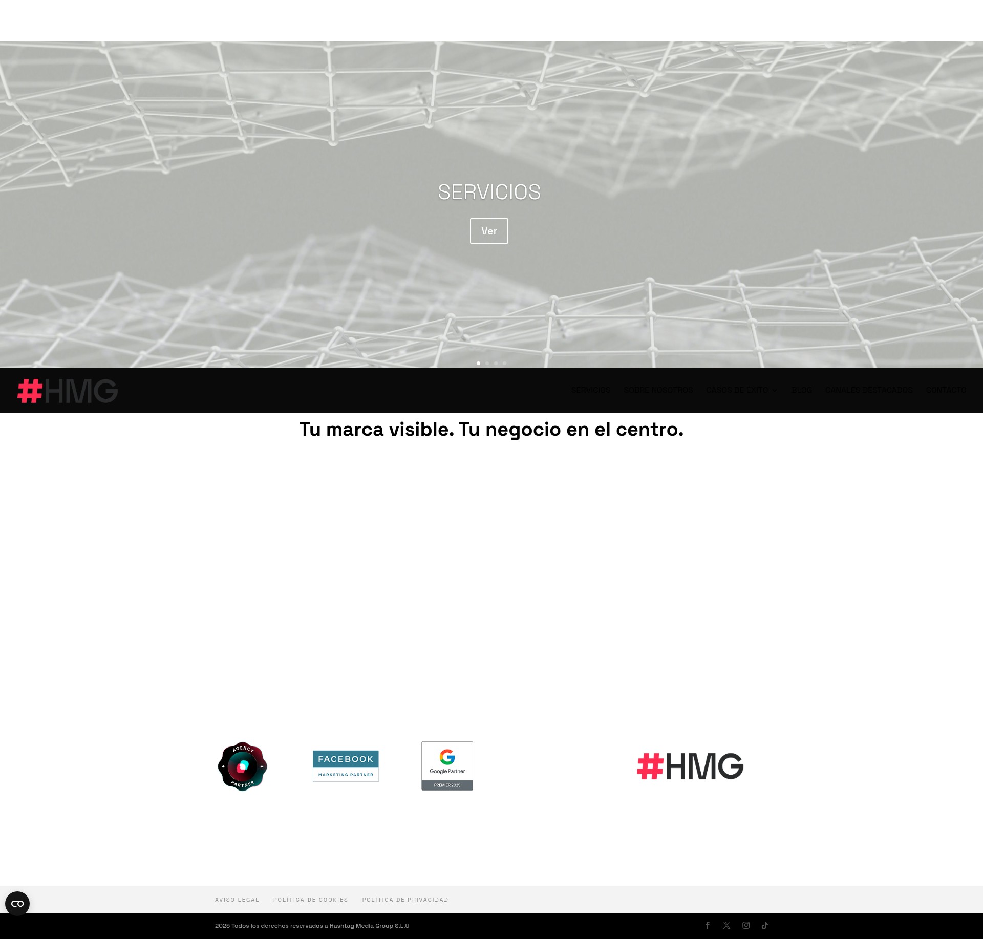 Screenshot of hmg.eu
