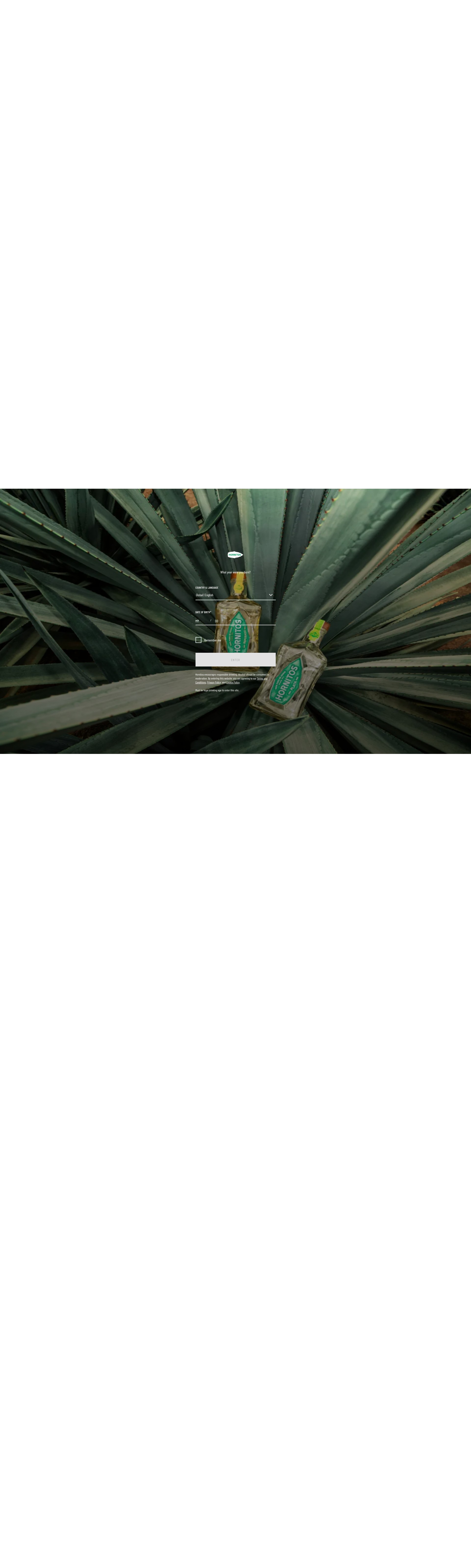 Screenshot of hornitostequila.com