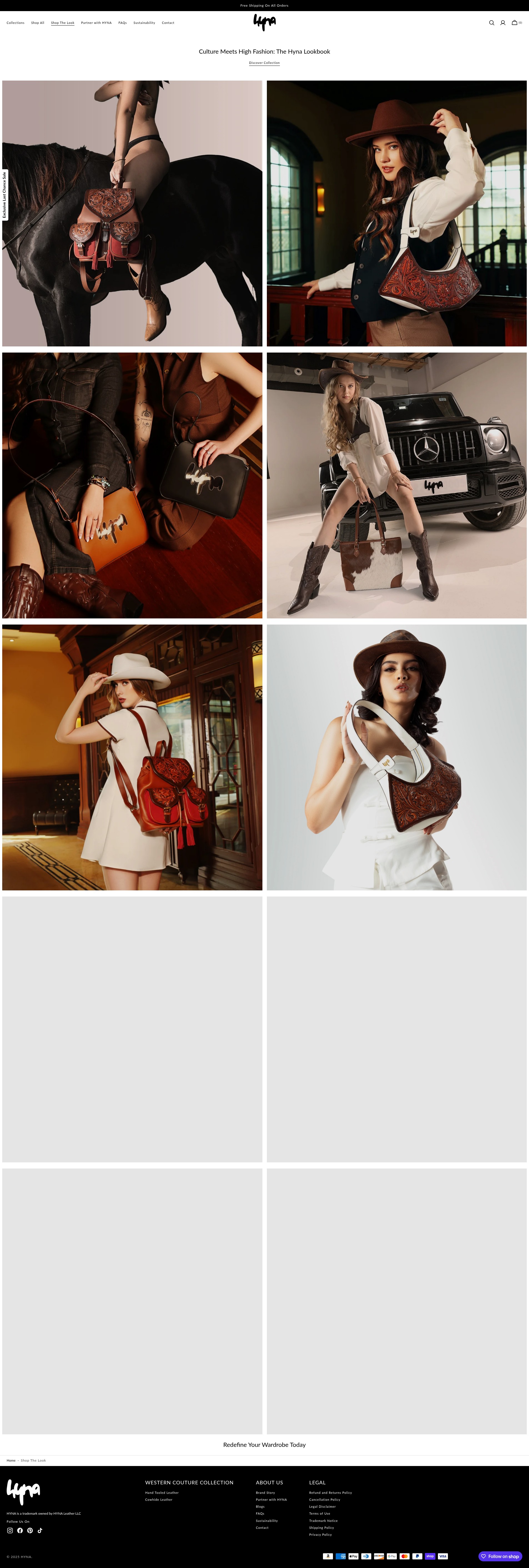 Screenshot of hyna.us
