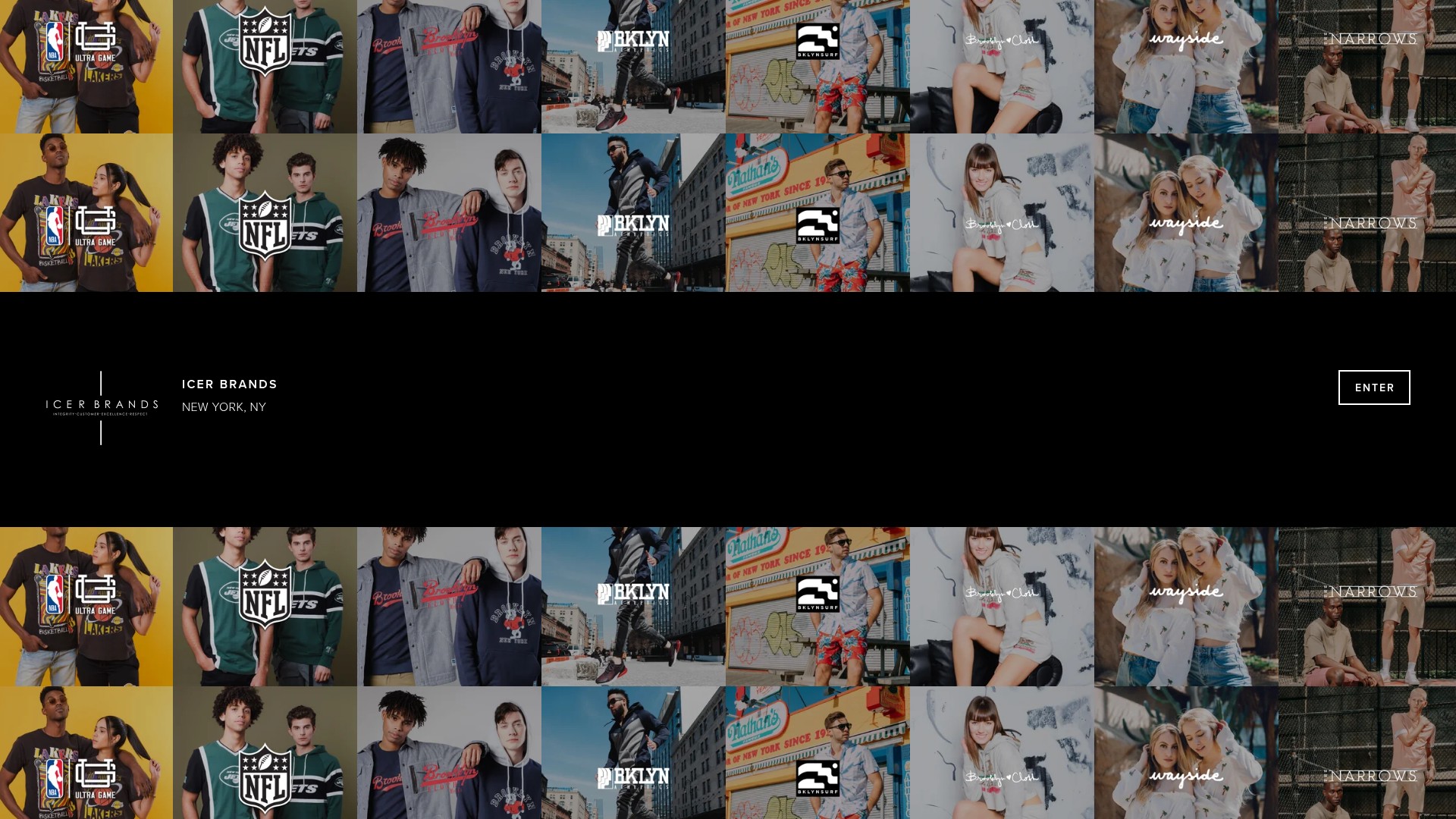 Screenshot of icerbrands.com
