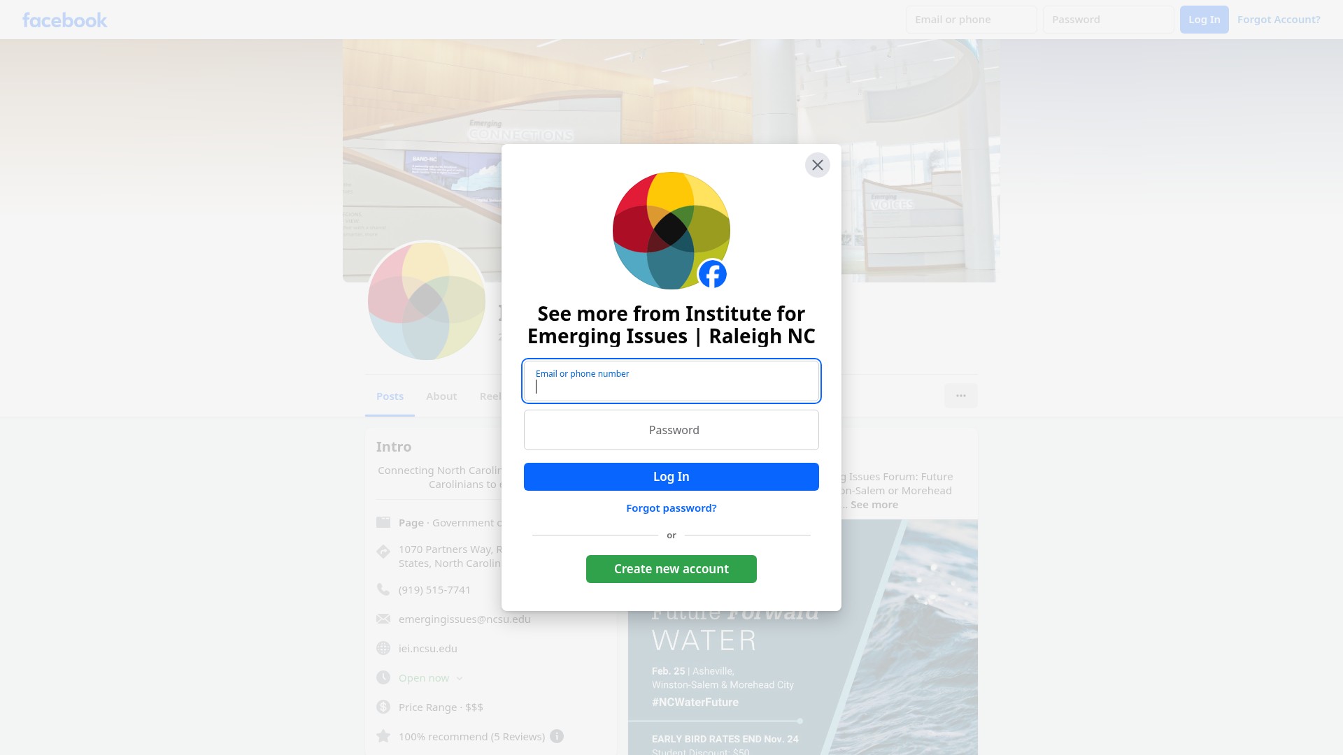 Screenshot of iei.ncsu.edu