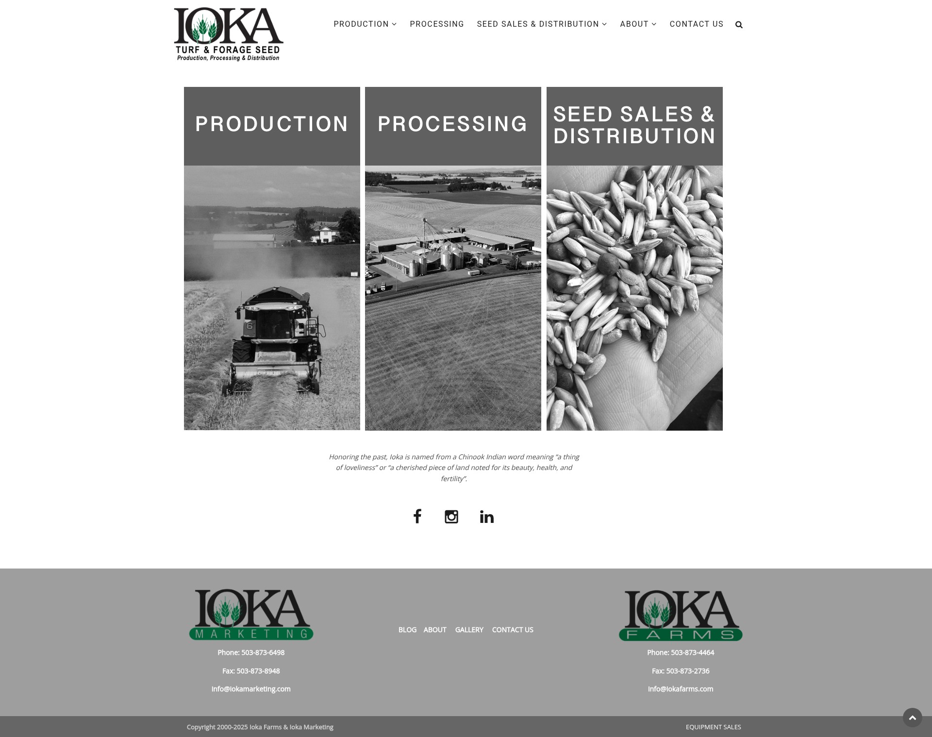 Screenshot of iokamarketing.com