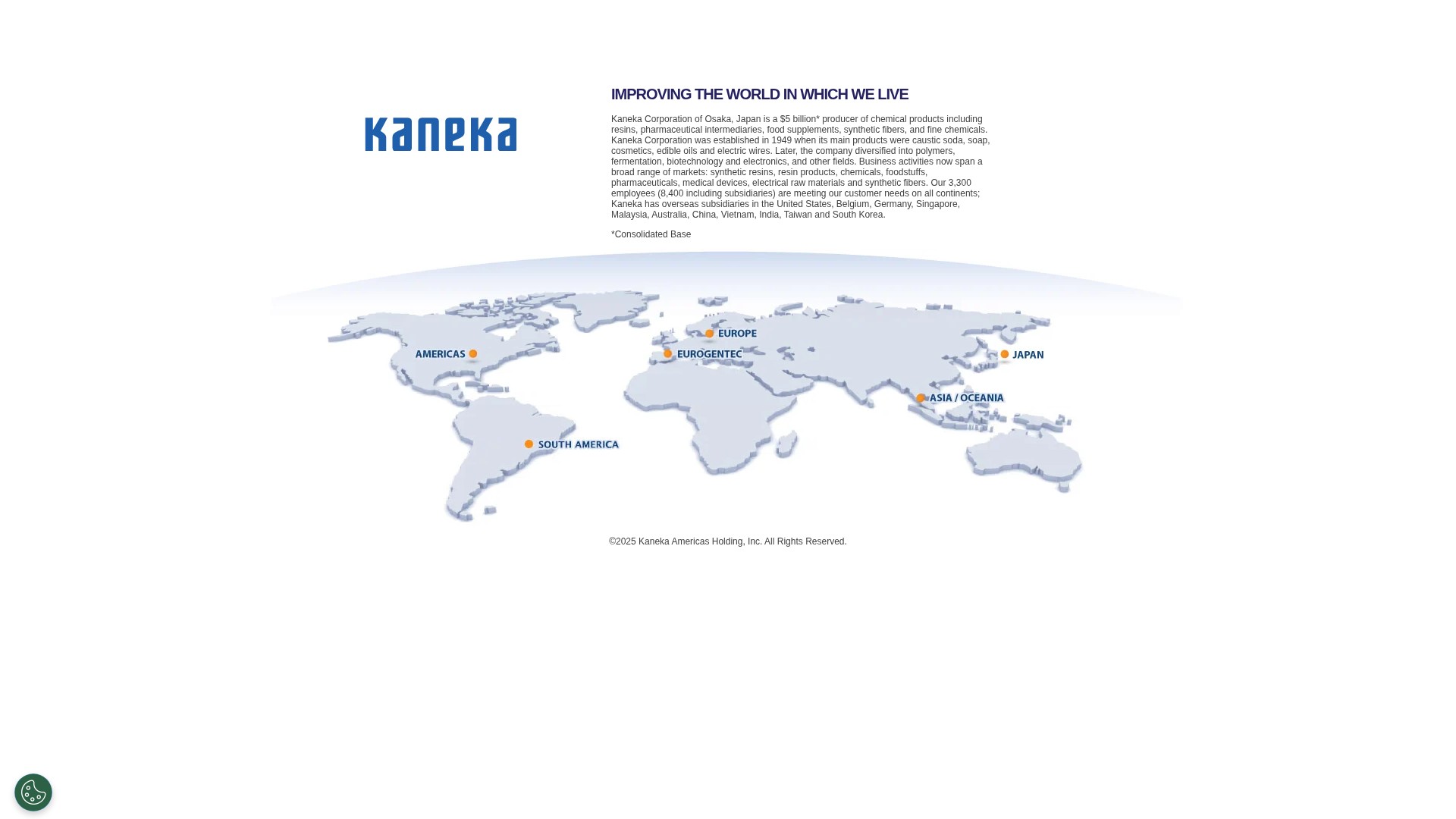 Screenshot of kaneka.com