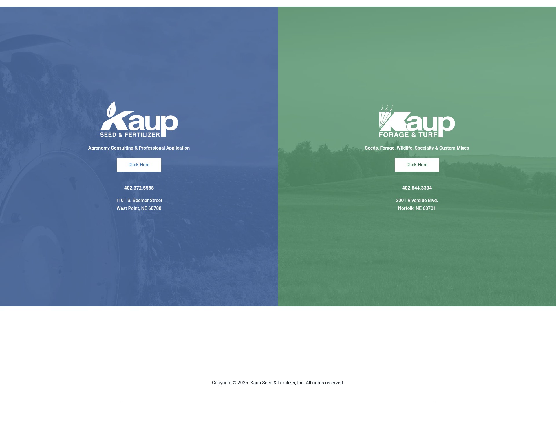 Screenshot of kaupseed.com