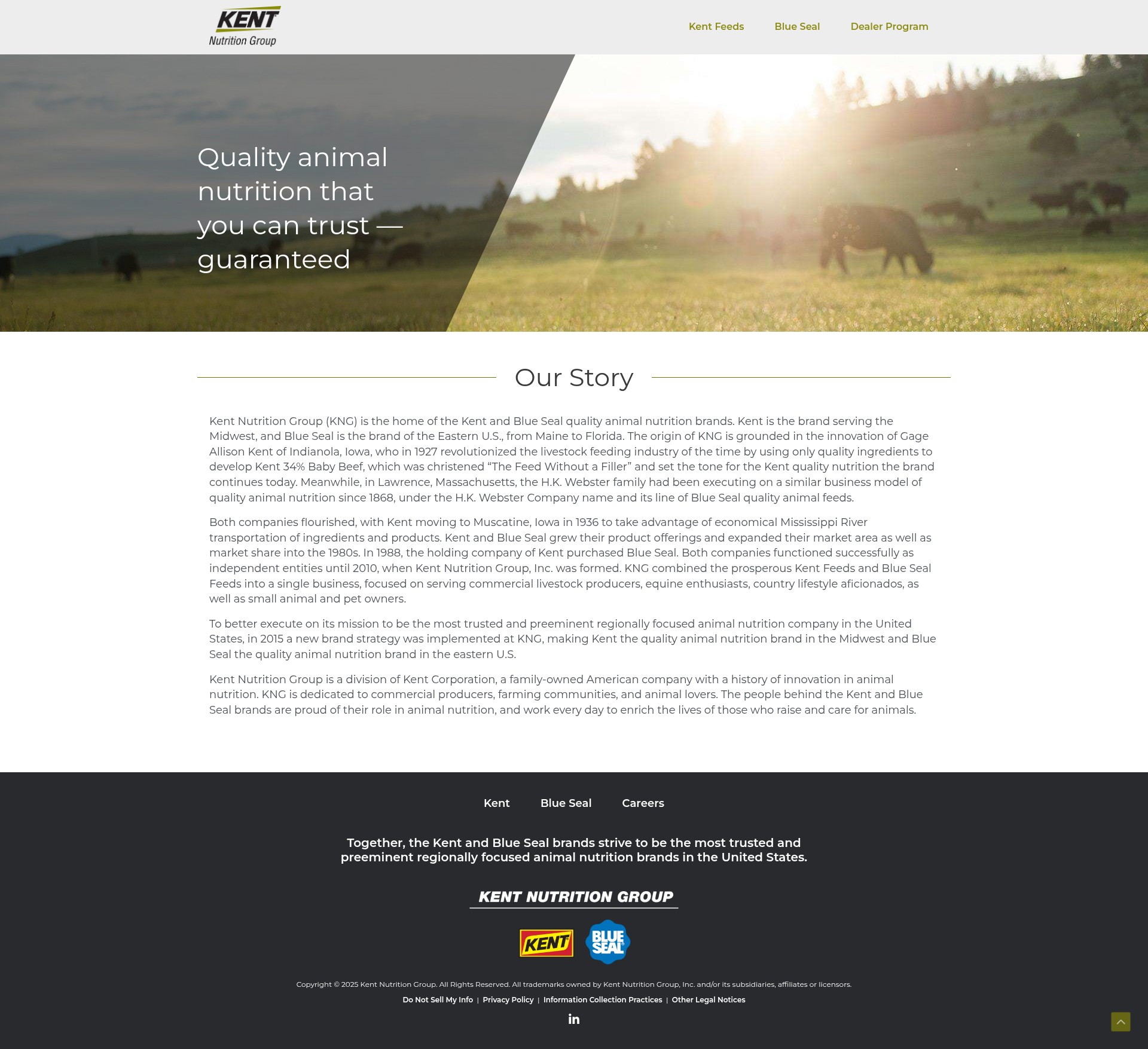 Screenshot of kentnutritiongroup.com