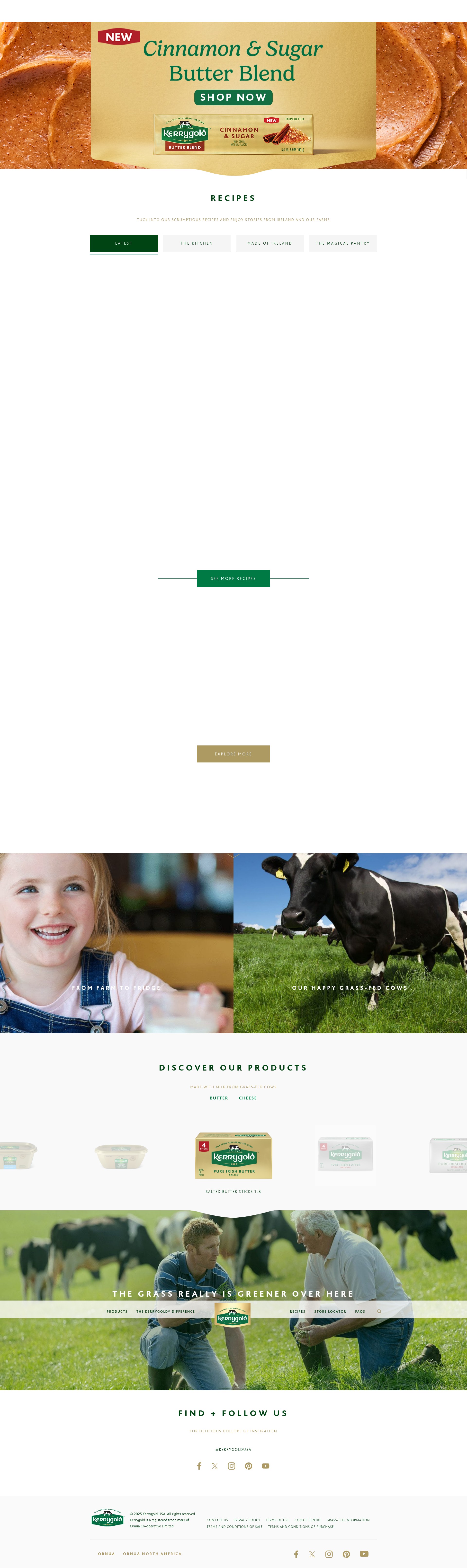 Screenshot of kerrygoldusa.com