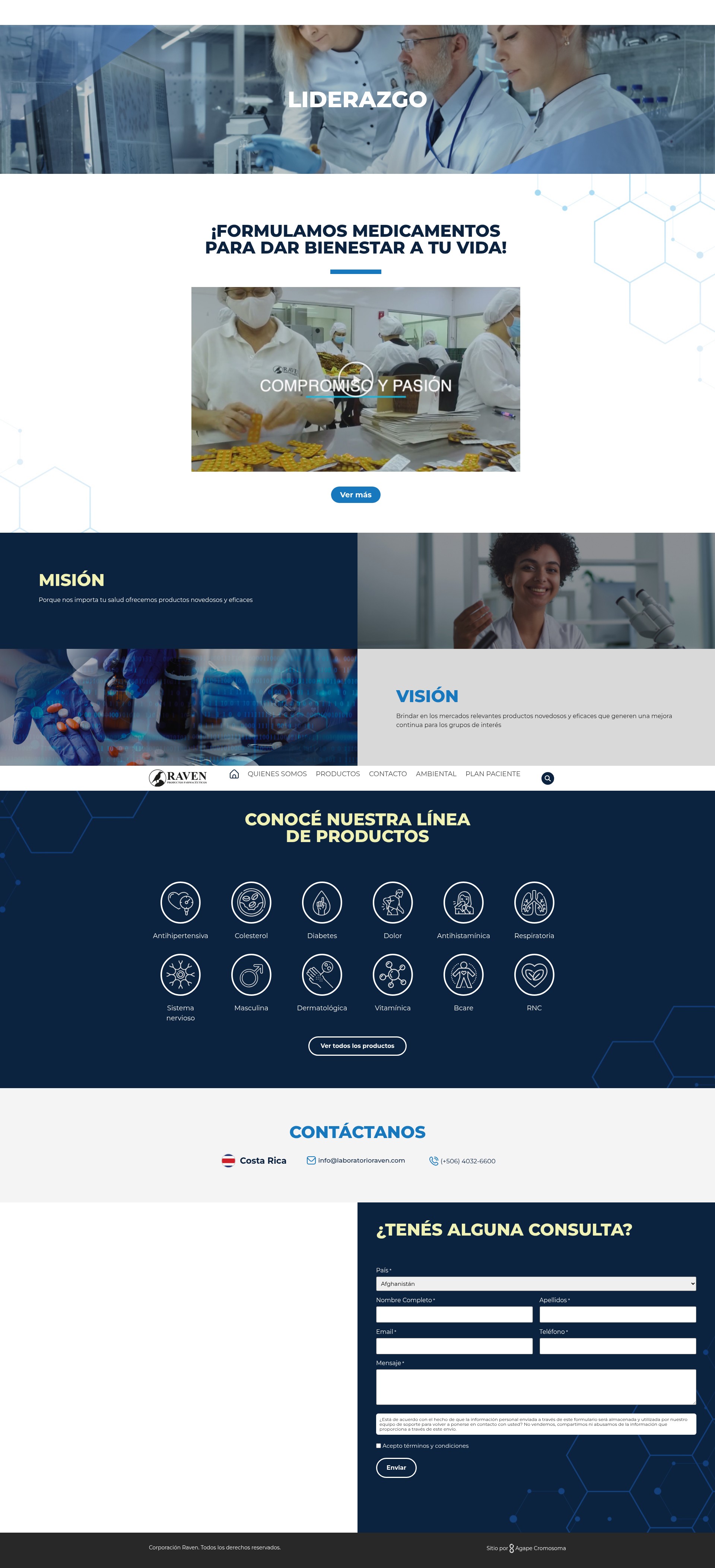 Screenshot of laboratorioraven.com