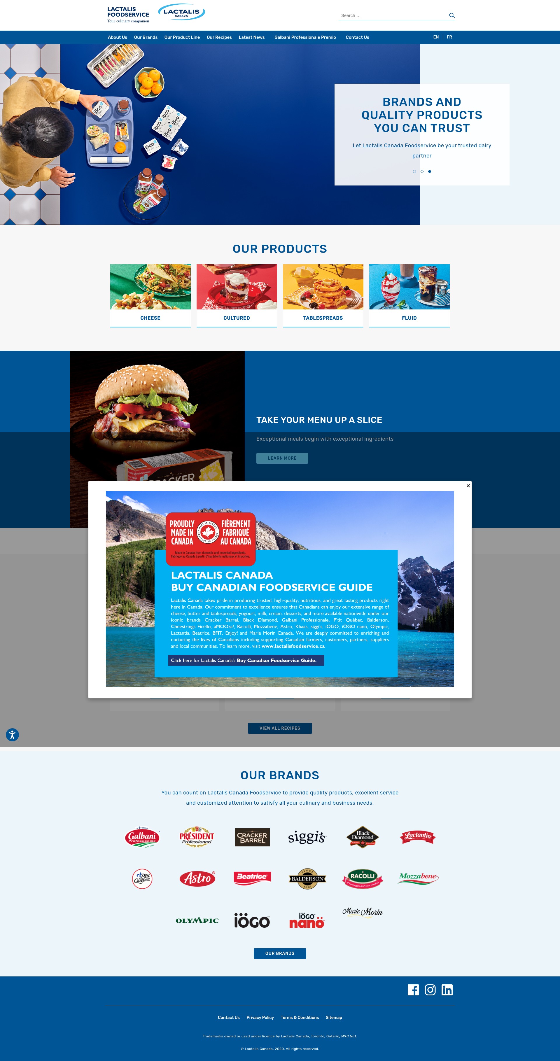 Screenshot of lactalisfoodservice.ca