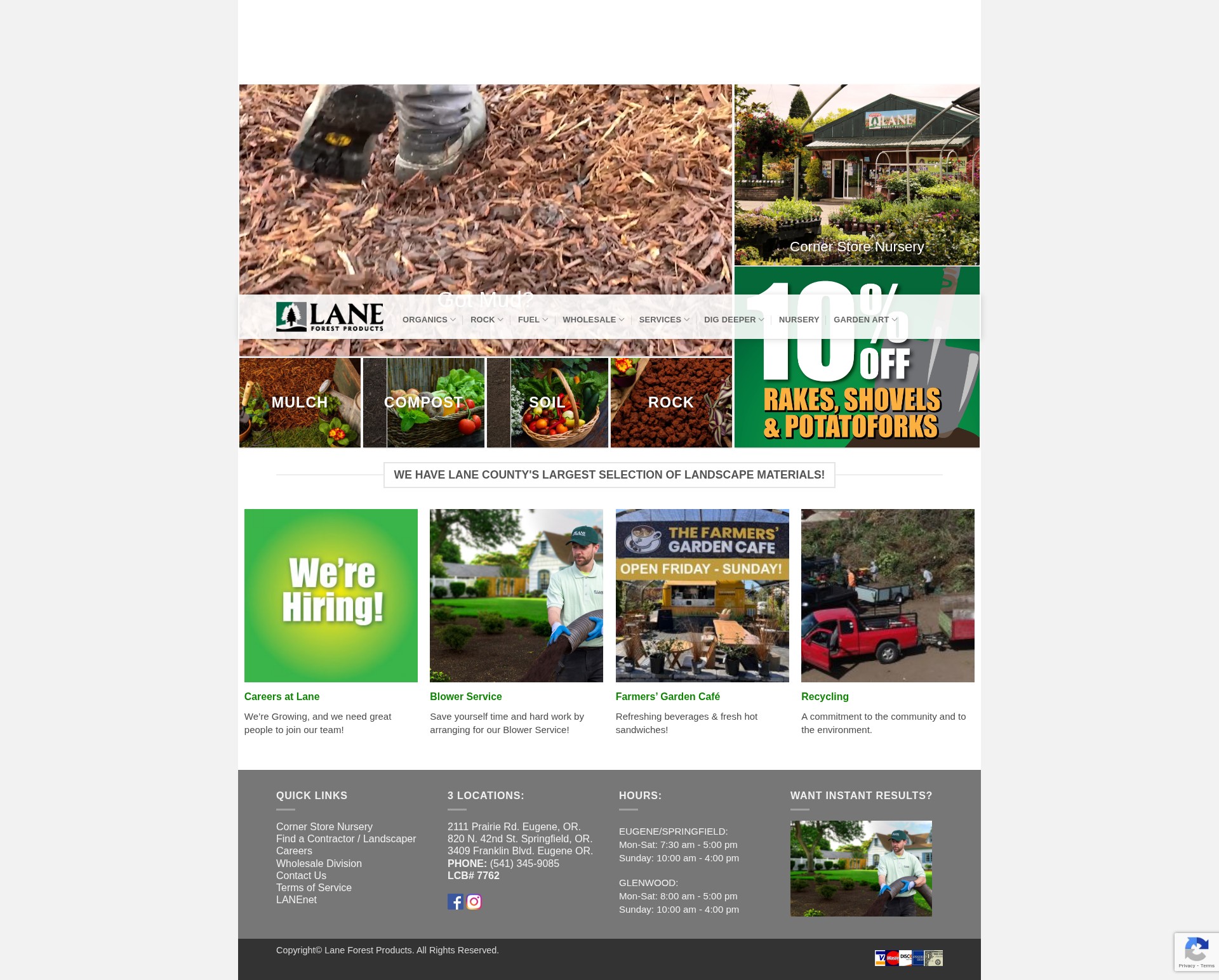 Screenshot of laneforest.com