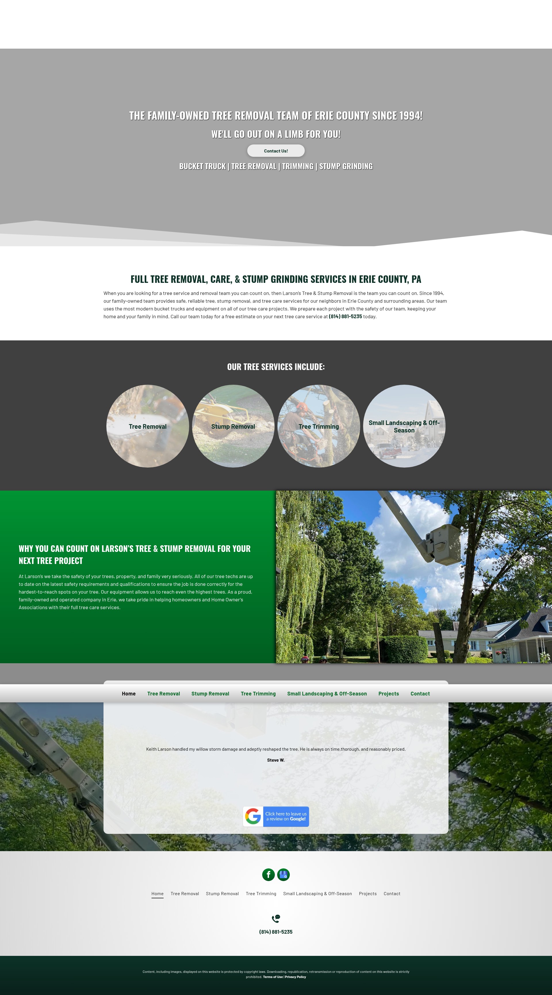 Screenshot of larsonstreeandstumpremoval.com