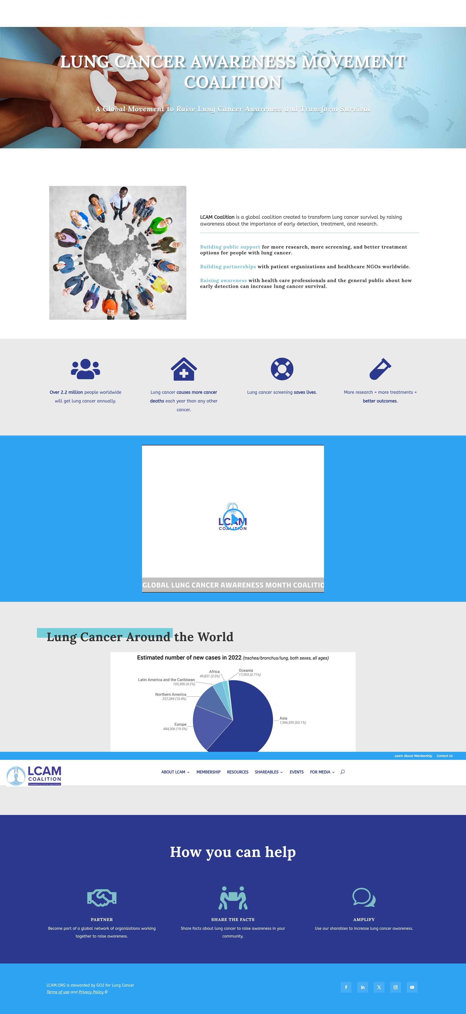 Screenshot of lcam.org