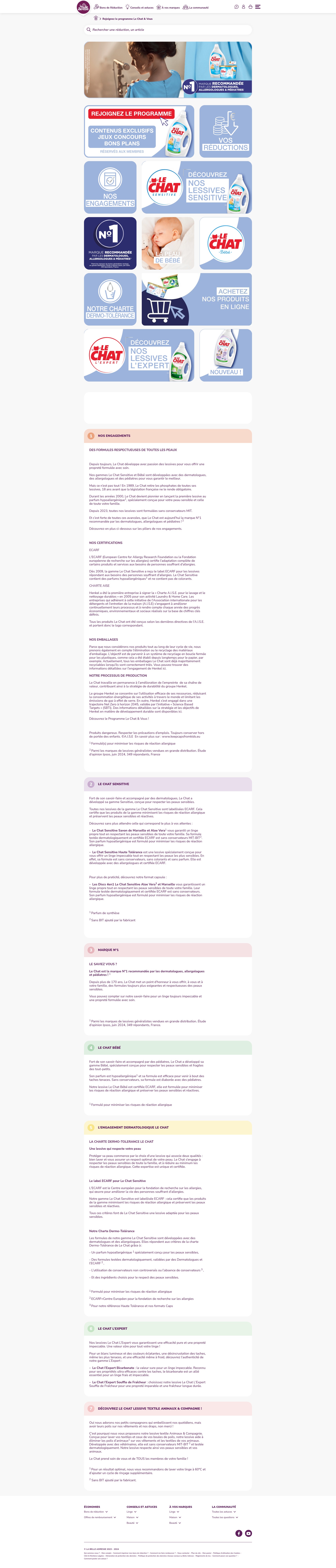 Screenshot of lechat.fr