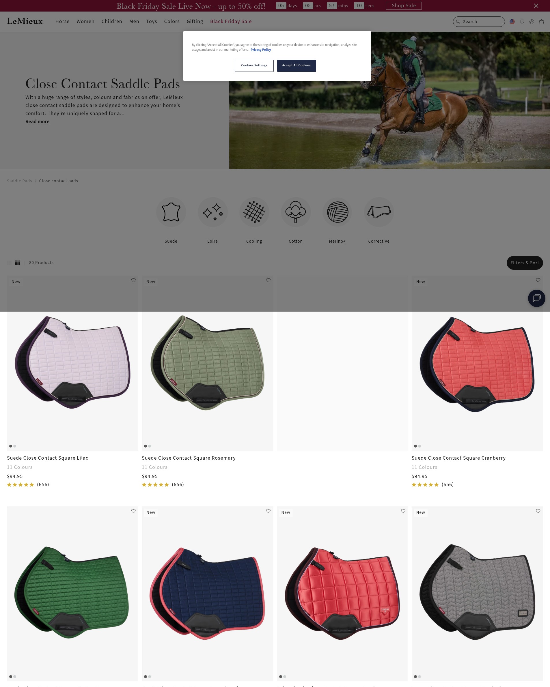 Screenshot of lemieux.com