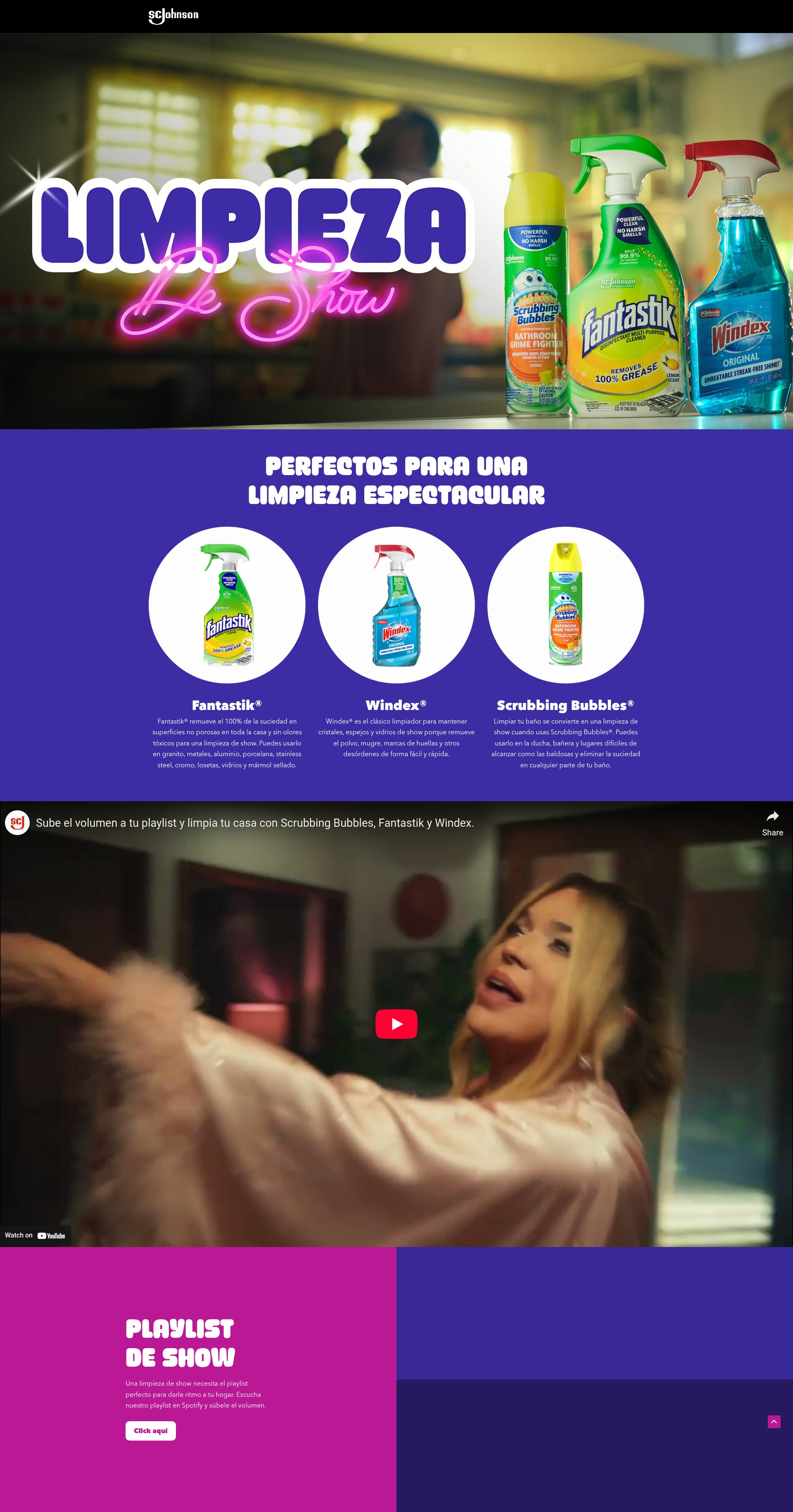 Screenshot of limpiezadeshow.com