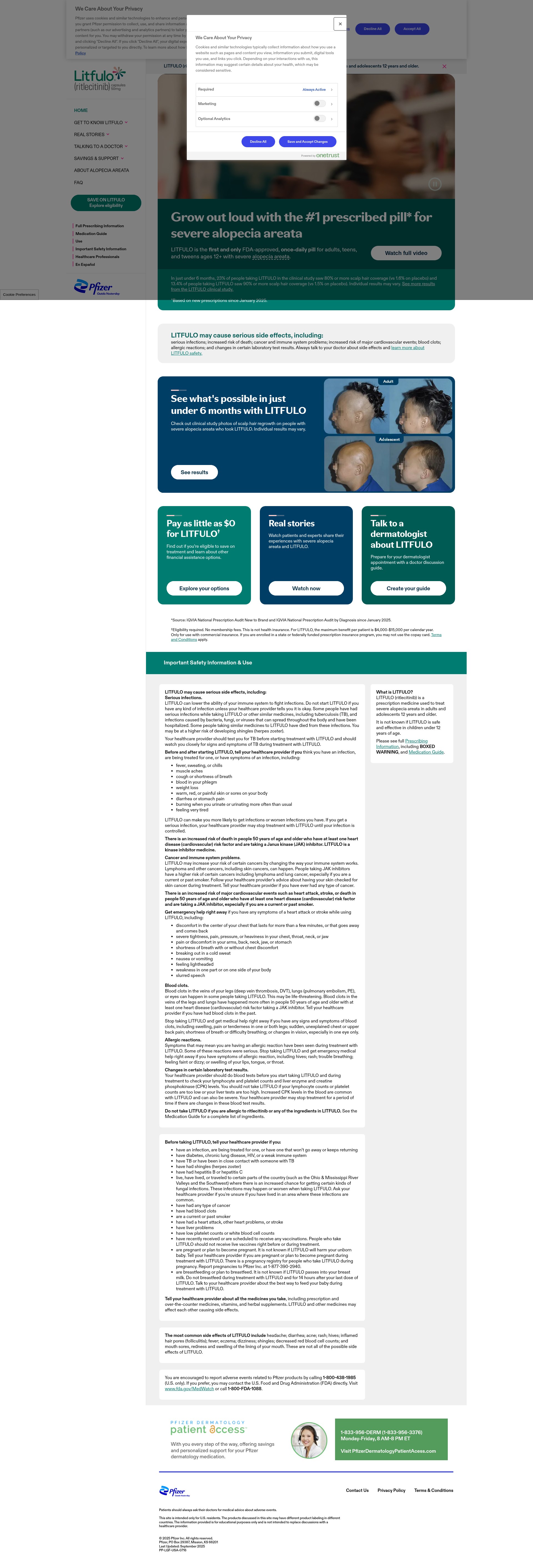 Screenshot of litfulo.com